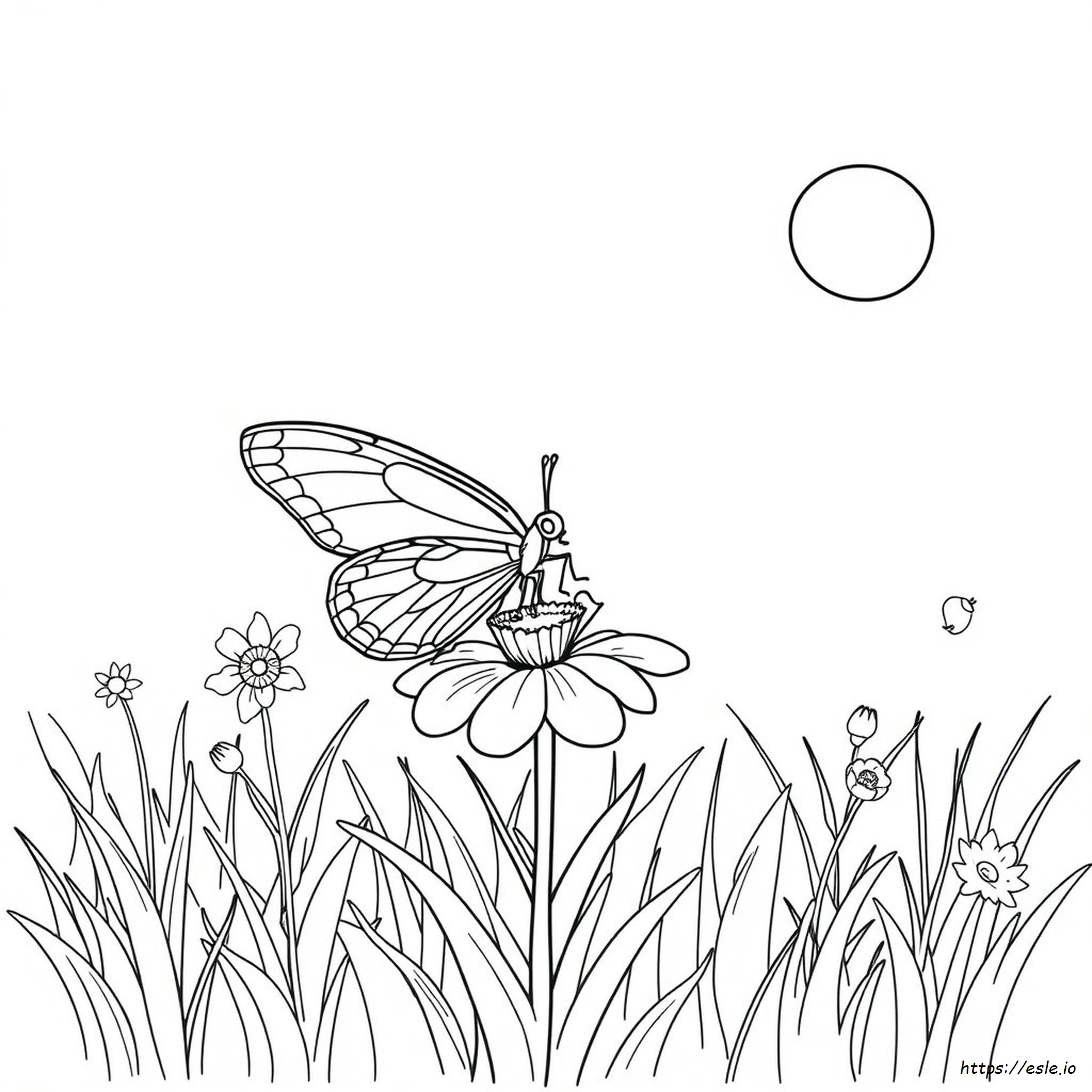 Dibujo para colorear mariposa en una flor