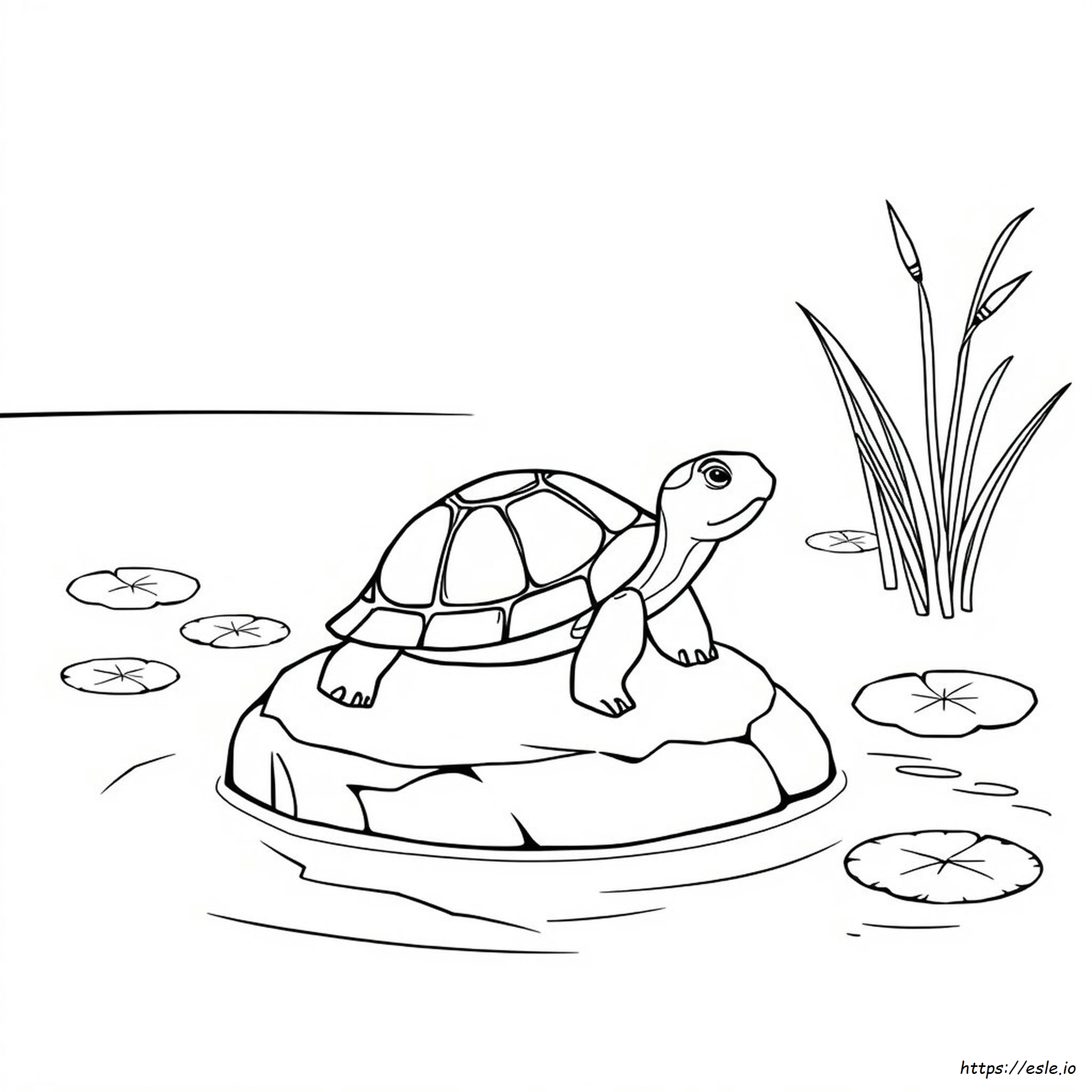 Schildkröte Ausmalbild - Kostenlos zum Ausdrucken