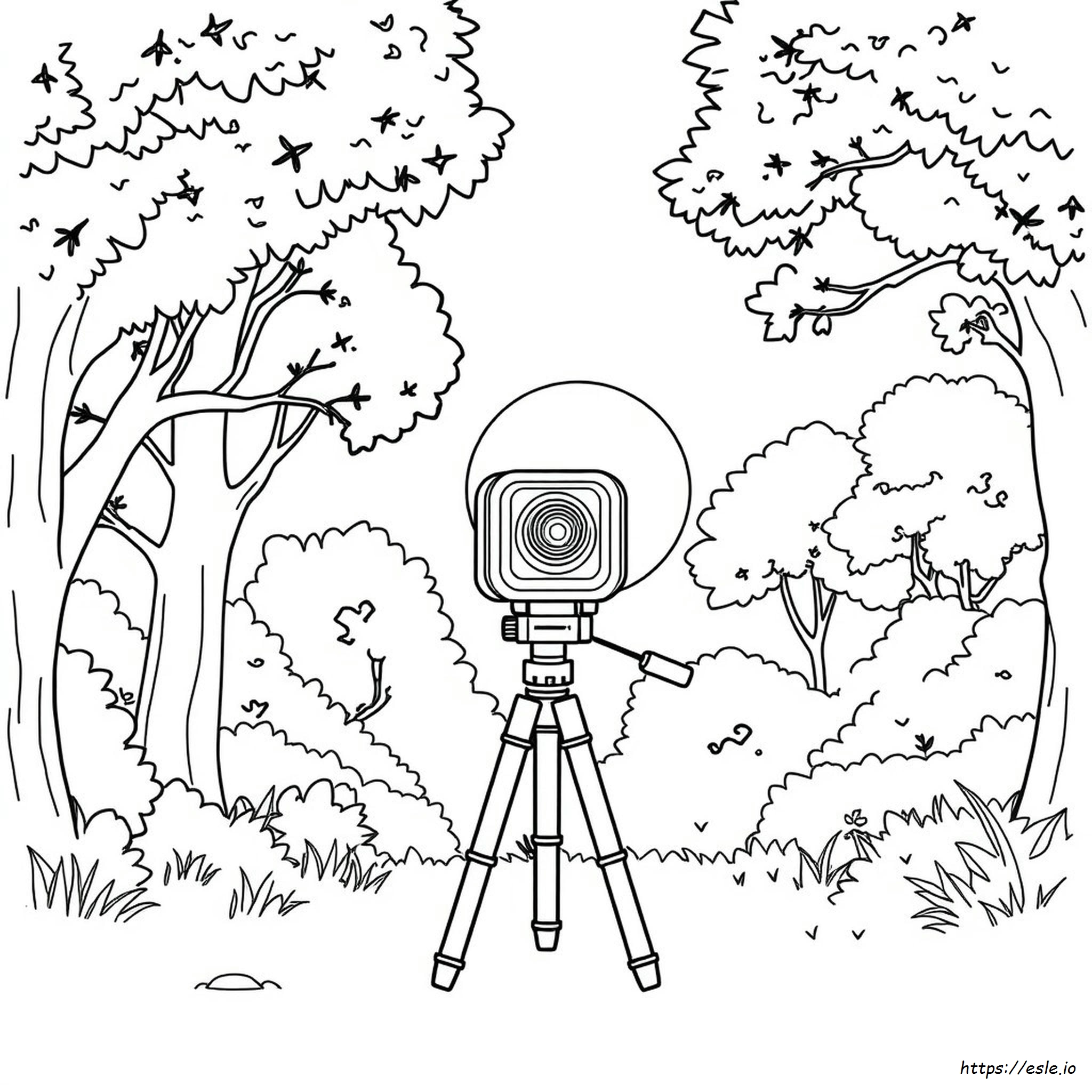 Significado Del Color De La C mara Arlo significado-del-color-de-la-c-mara-arlo