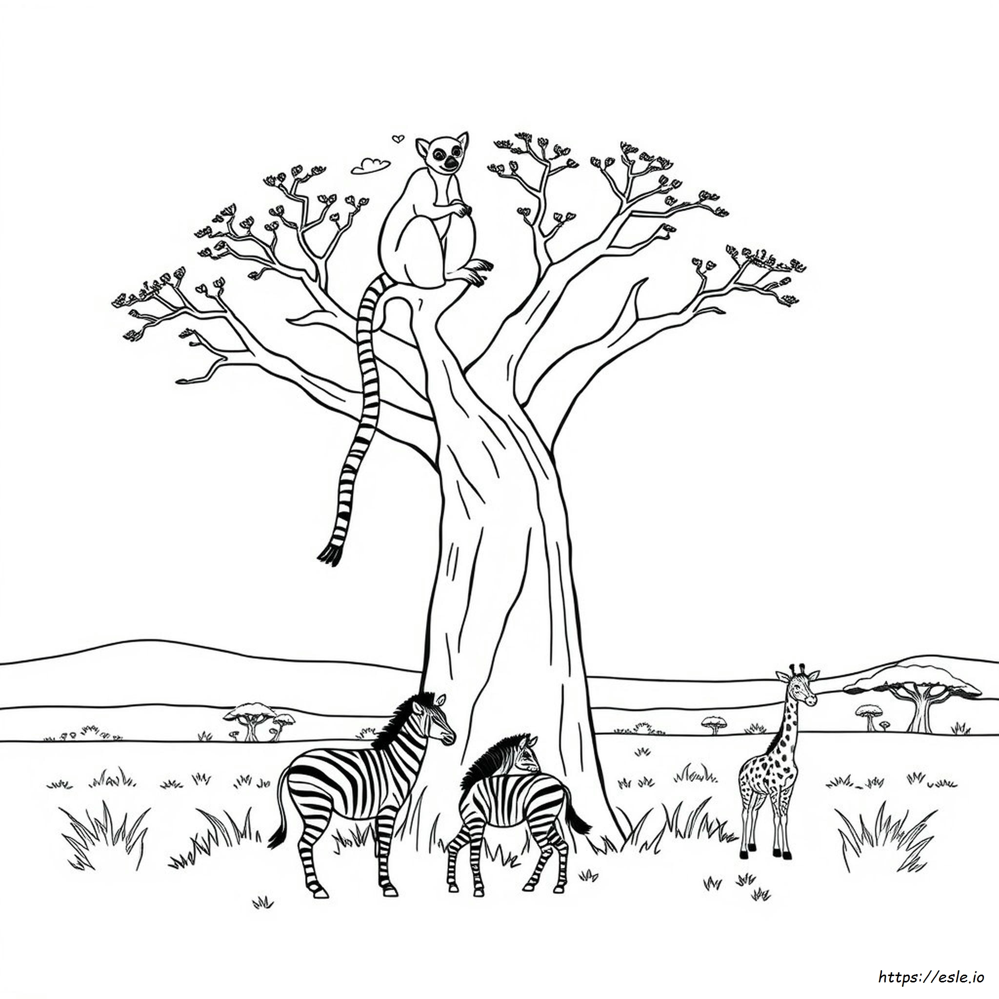 Madagascar Country Coloring Pages