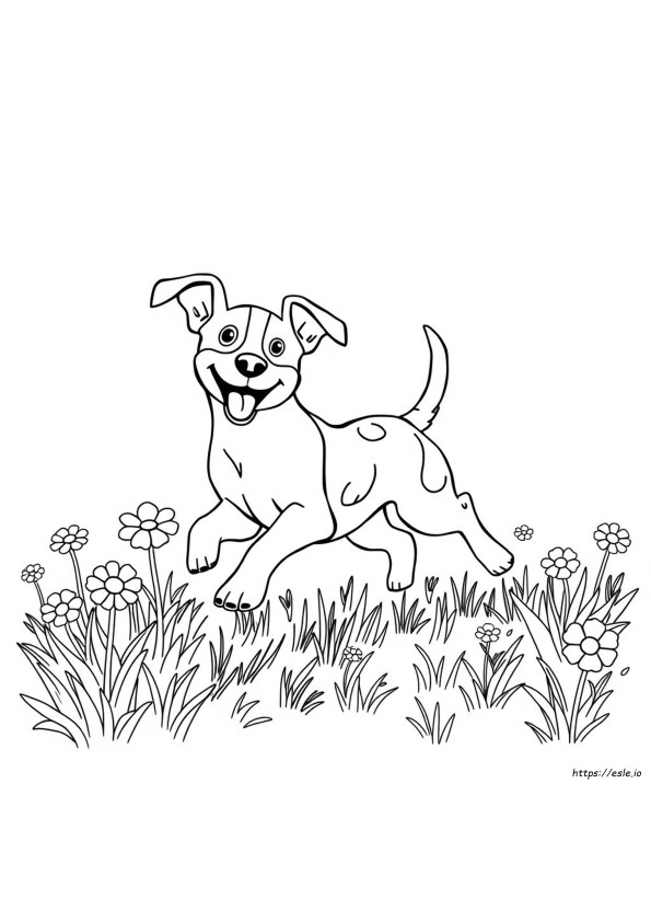 Jack Russell Colouring Pages