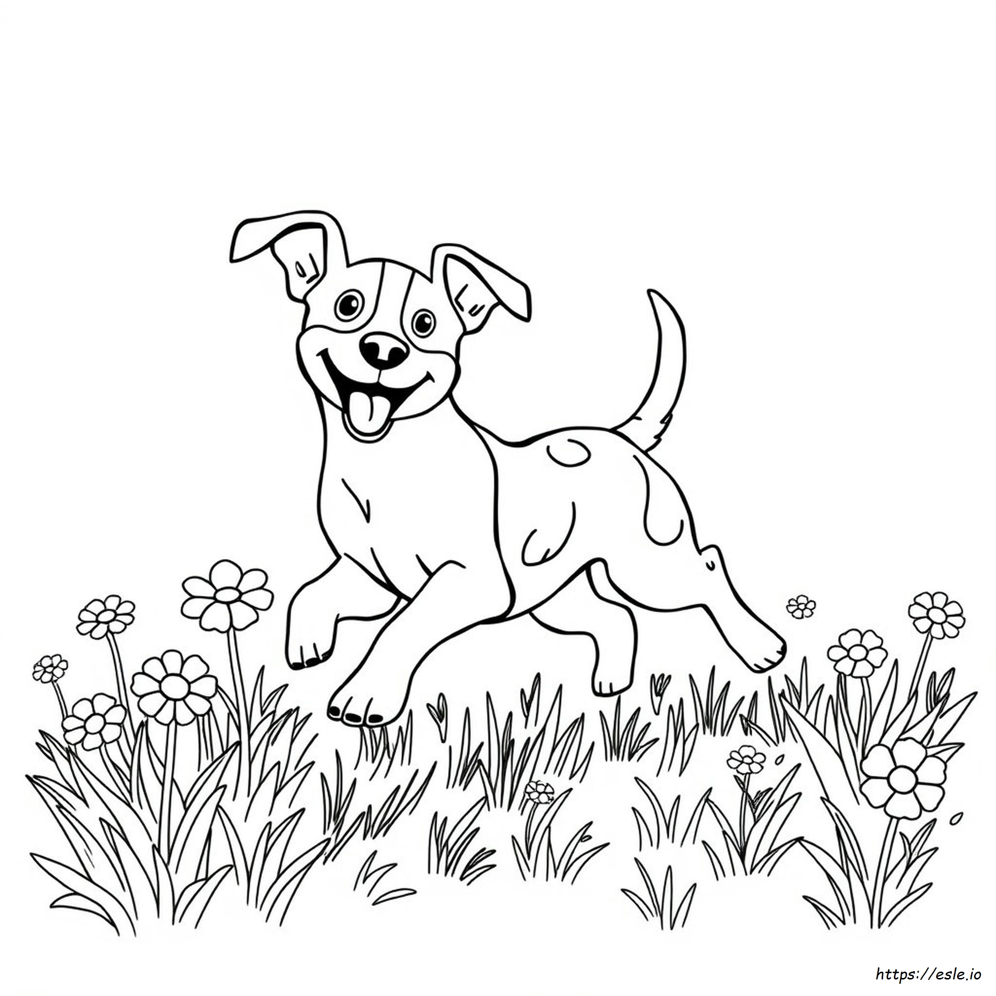 Kolorowanki Jack Russell