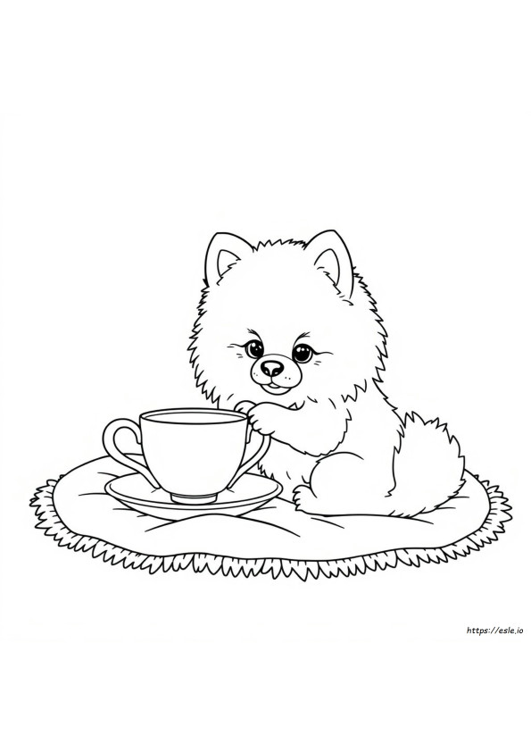 Pomerania Tacita De Té Para Colorear