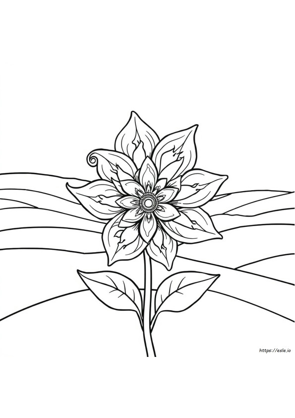 Coloriages Complexes Gratuits