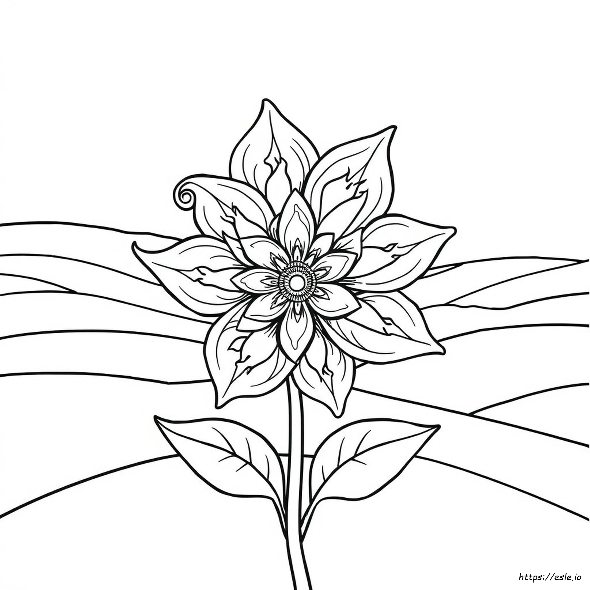 Intricate Coloring Pages Free - Printable PDF