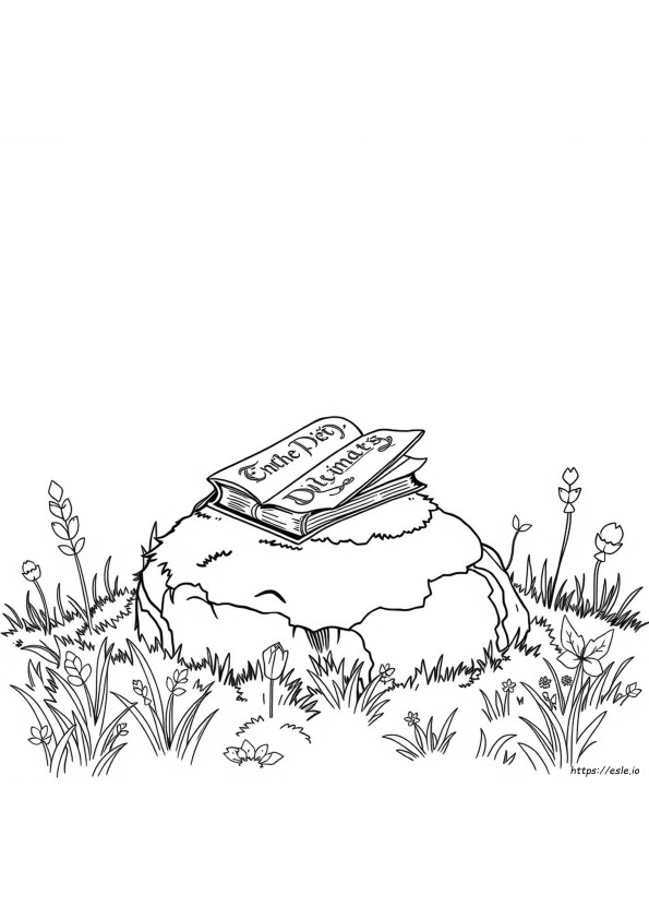 Enchanted Coloring Book