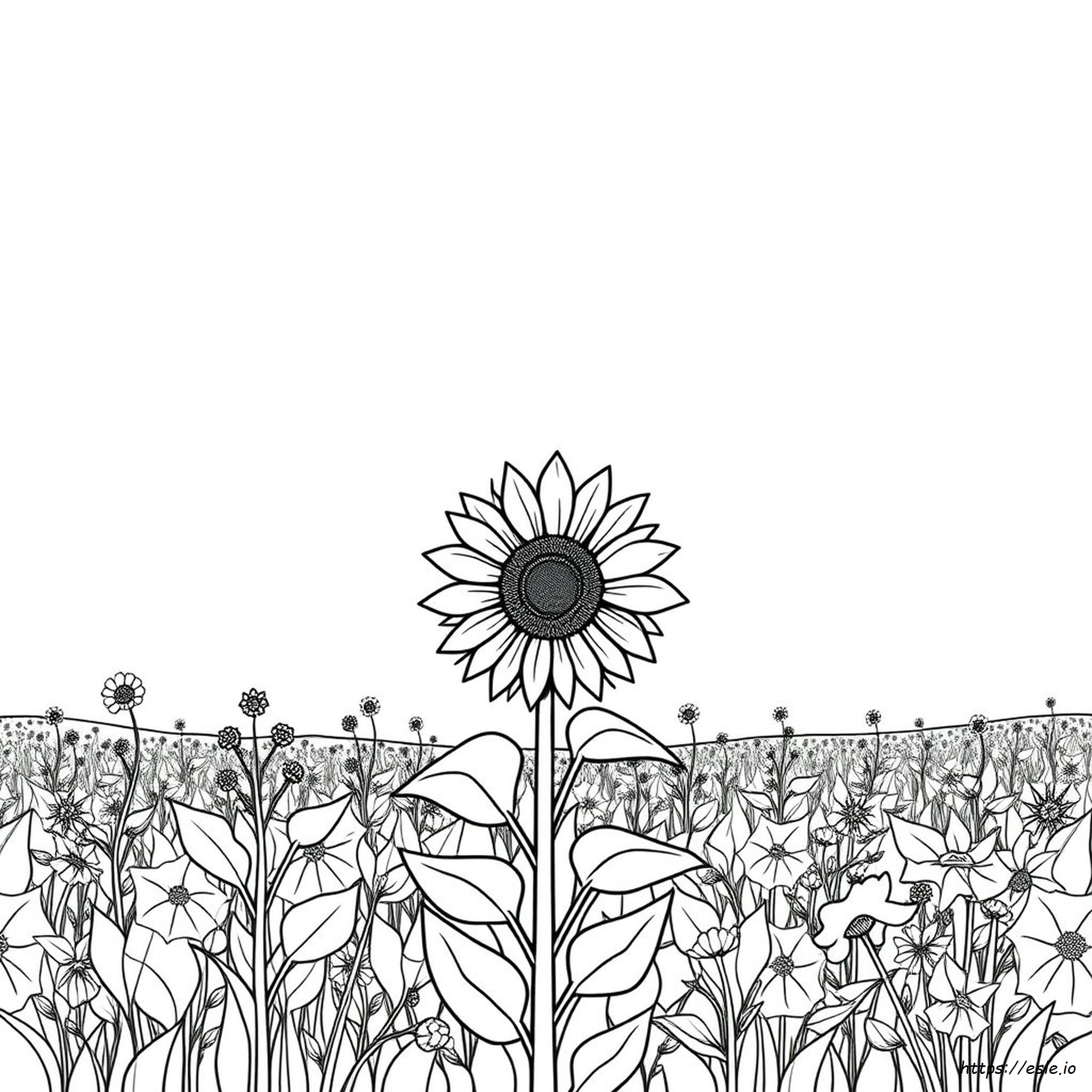 Free Printable Adult Coloring Pages Sunflower
