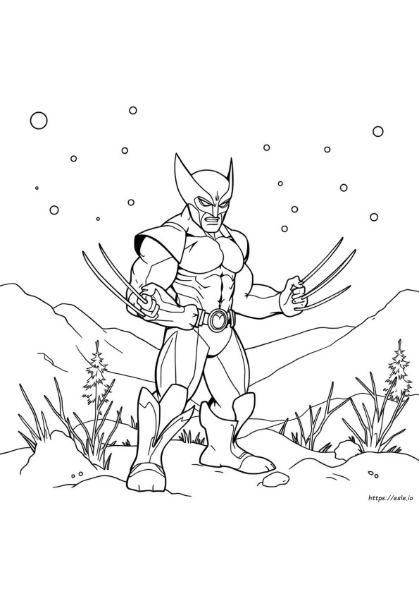 Wolverine Coloring Book