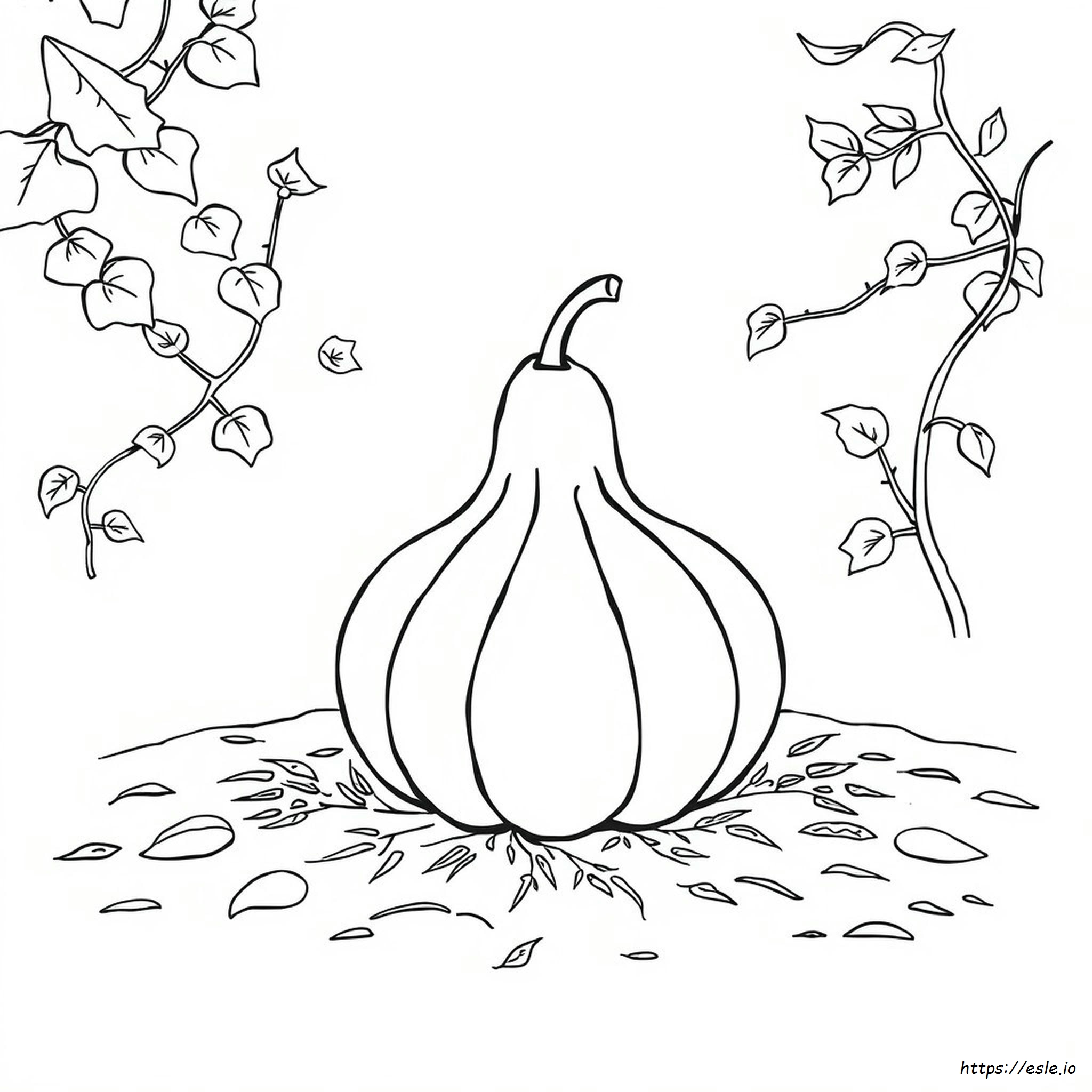 Printable Gourd Coloring Pages