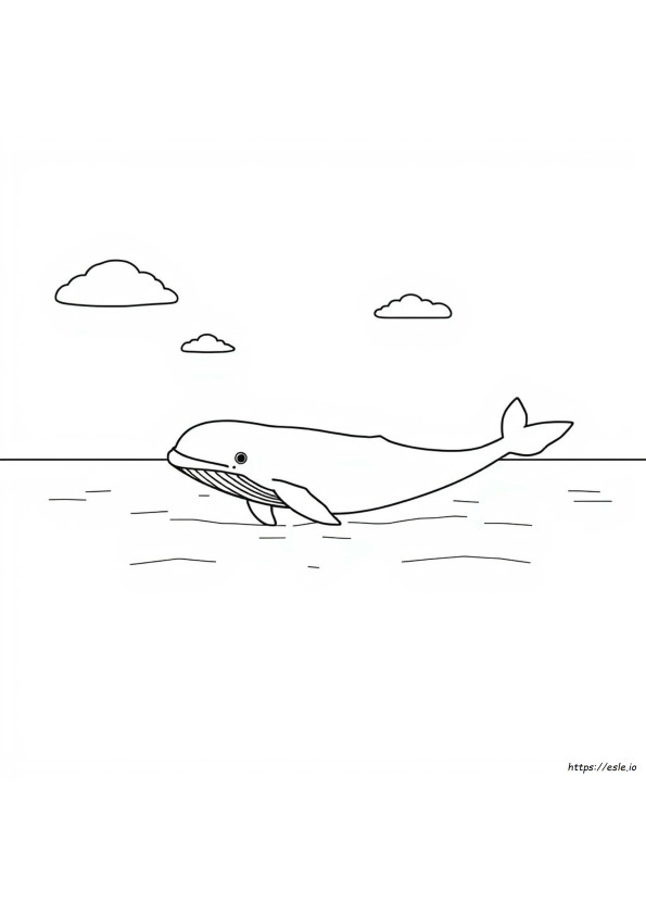 Whale Images For Colouring