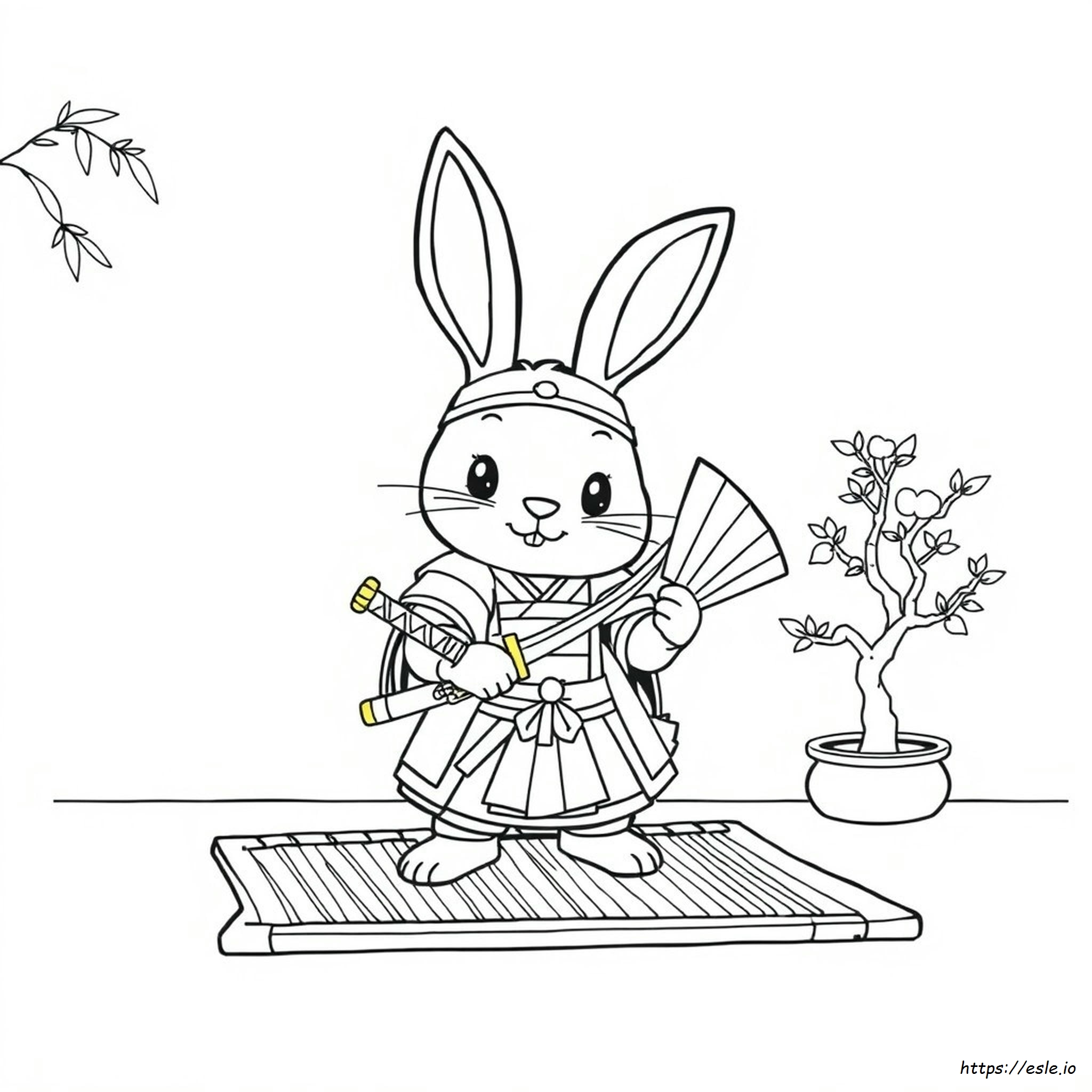 Samurai Rabbit Coloring Pages