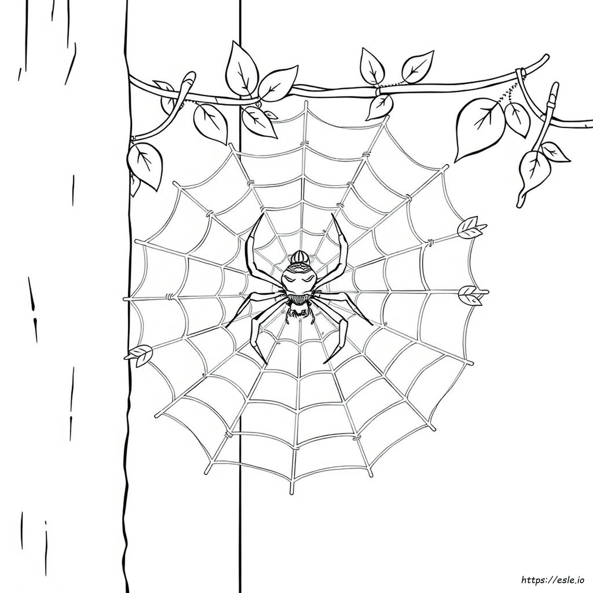 Ausmalbilder Edderkop Spinne Tegninger Ausmalbild Ausdrucken Spinnen ausmalbilder-edderkop-spinne-tegninger-ausmalbild-ausdrucken-spinnen