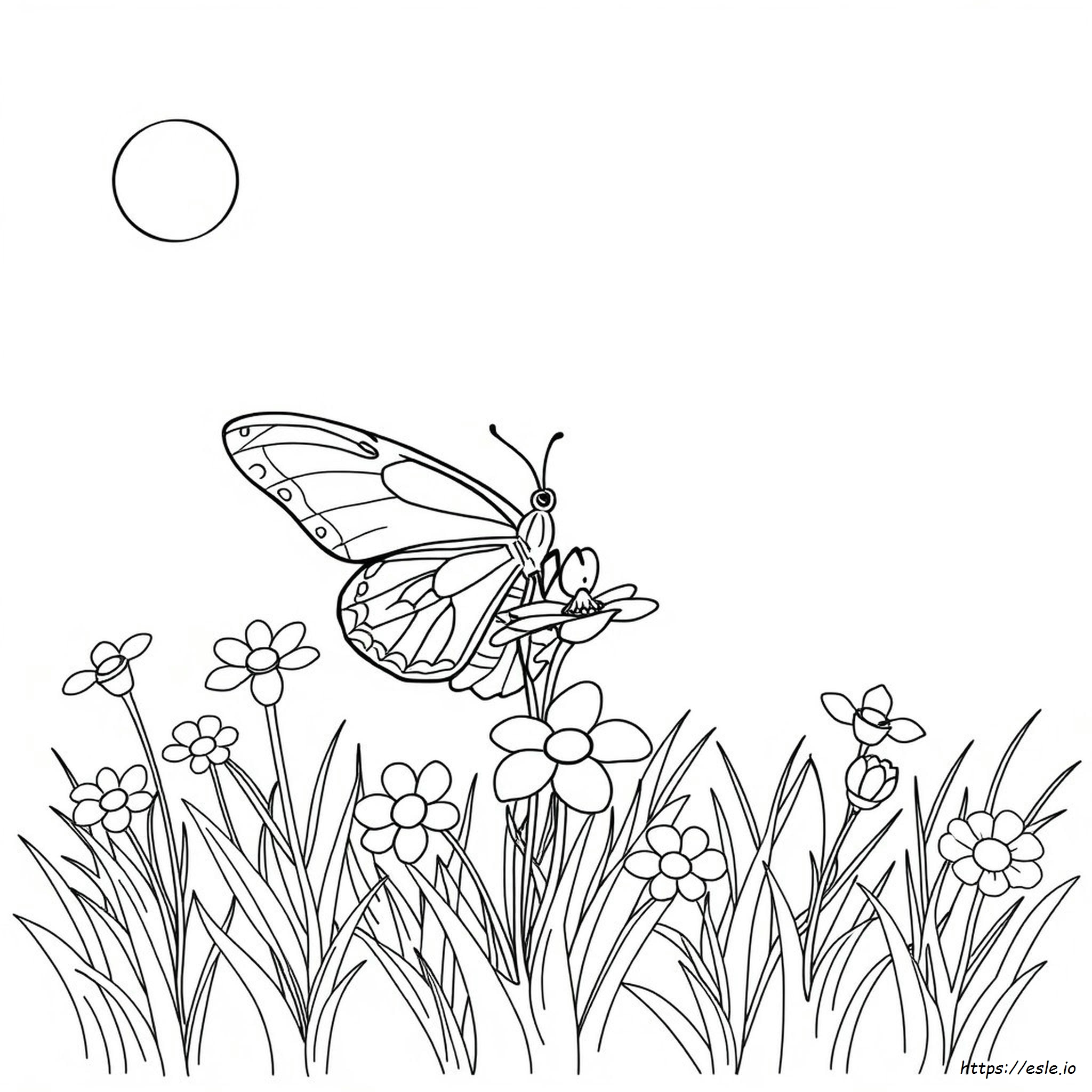 Pretty Butterfly Coloring Page - Free Printable