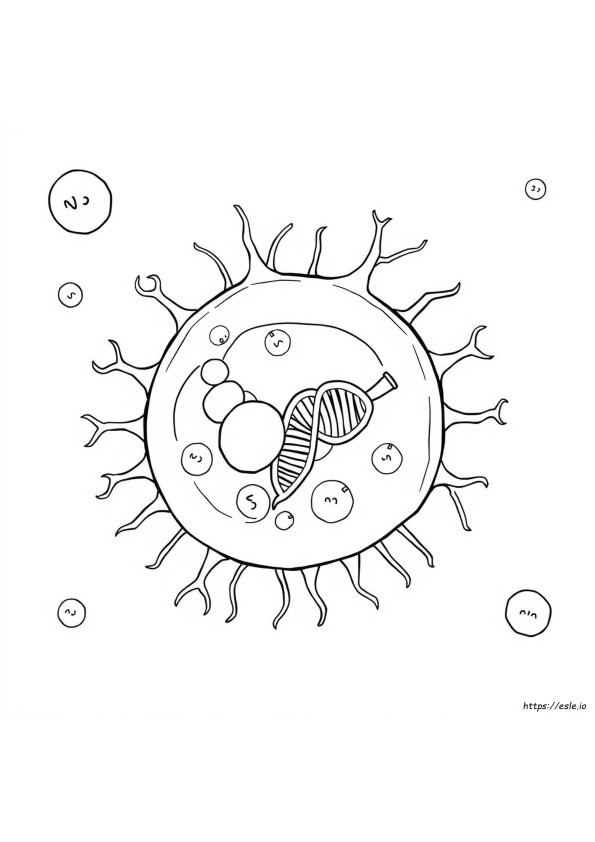 Prokaryote Coloring Sheet