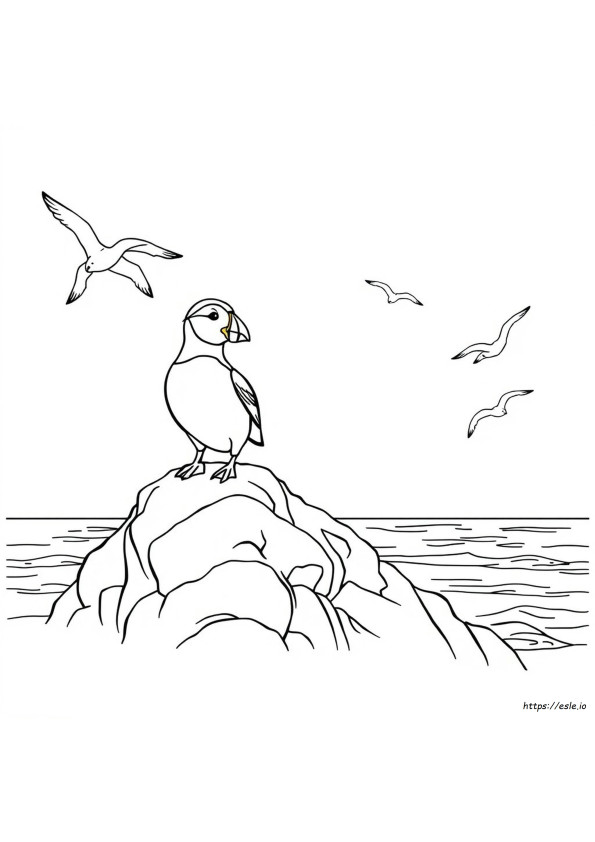 Puffin Rock Coloring