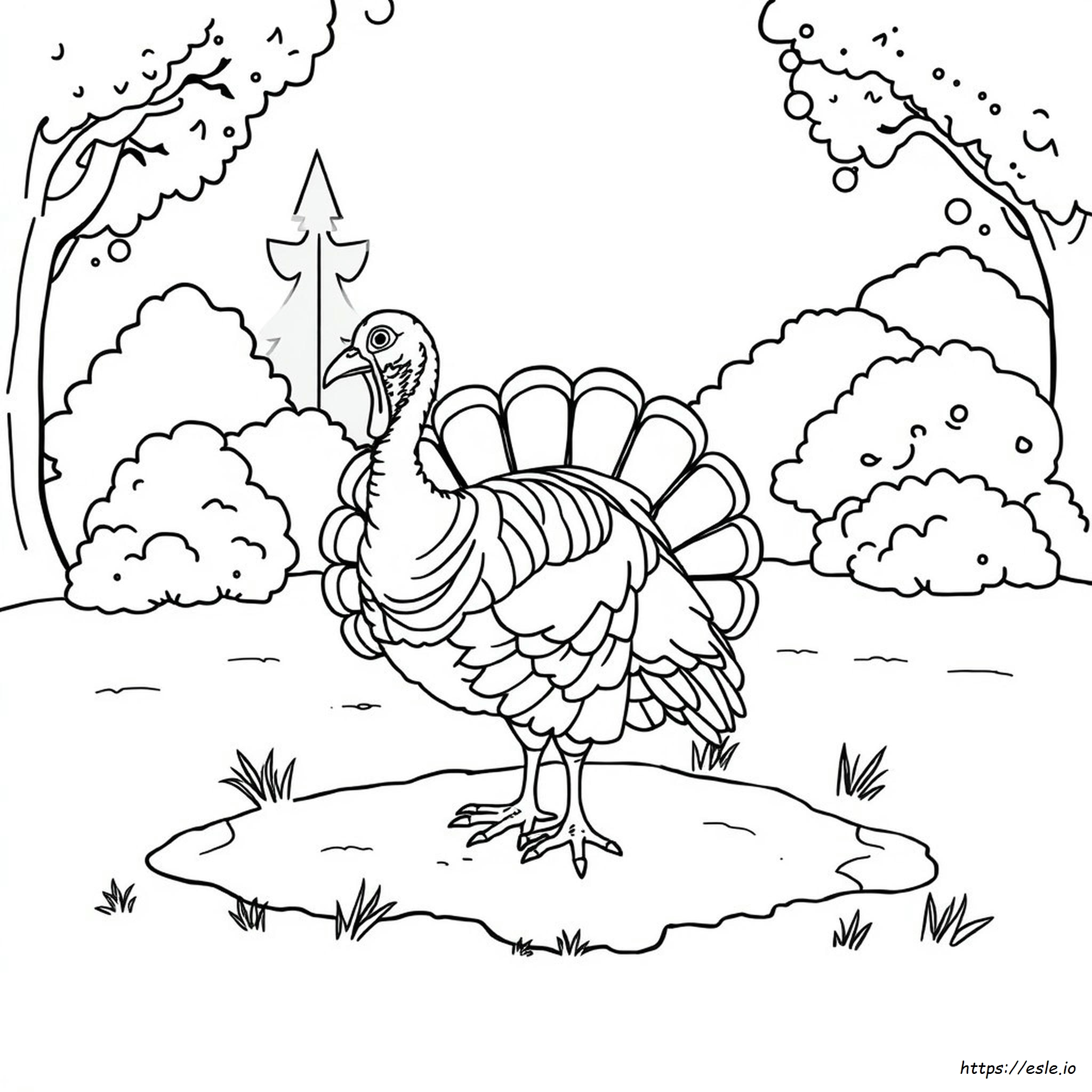 Wild Turkey Coloring Page - Free Printable