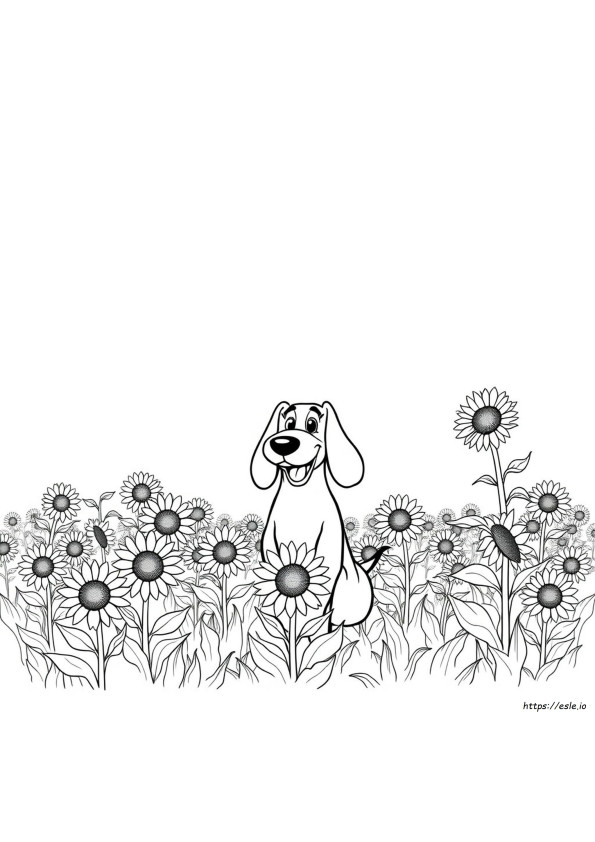 Aggie Coloring Pages