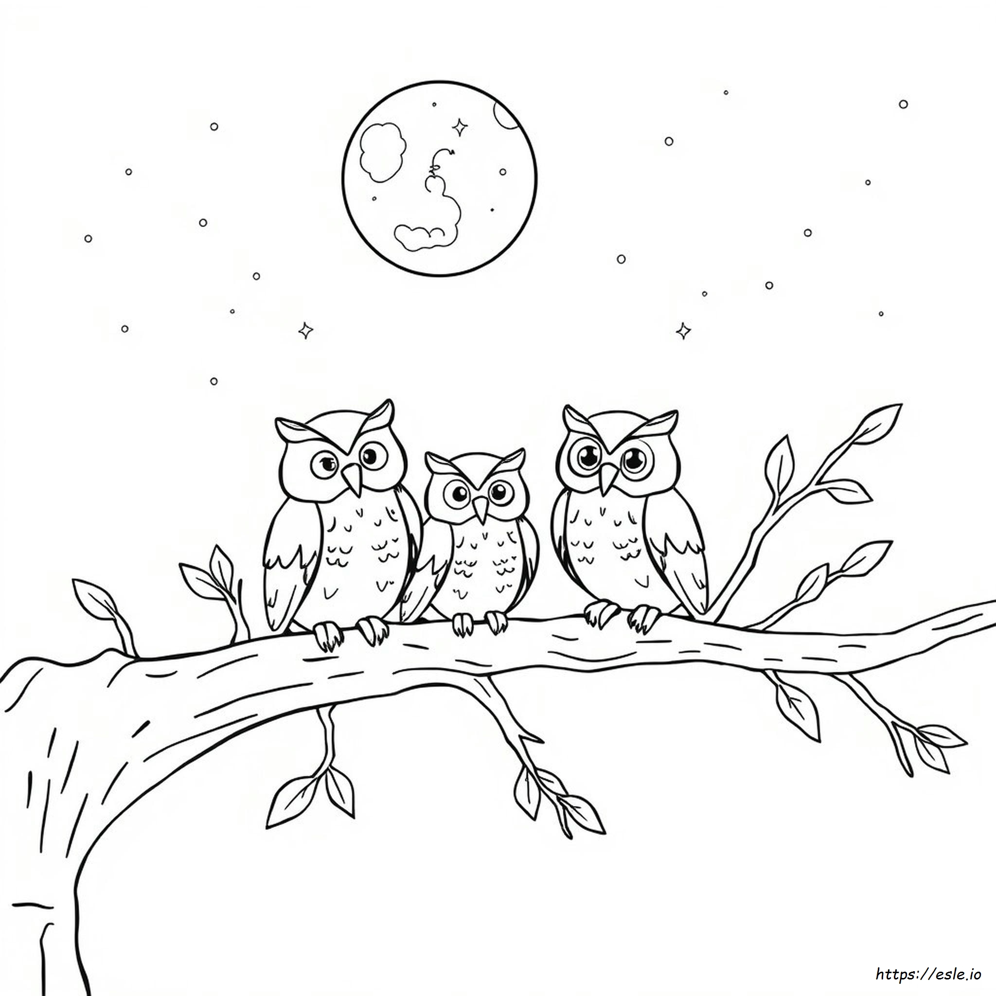 Owl Coloring Picture