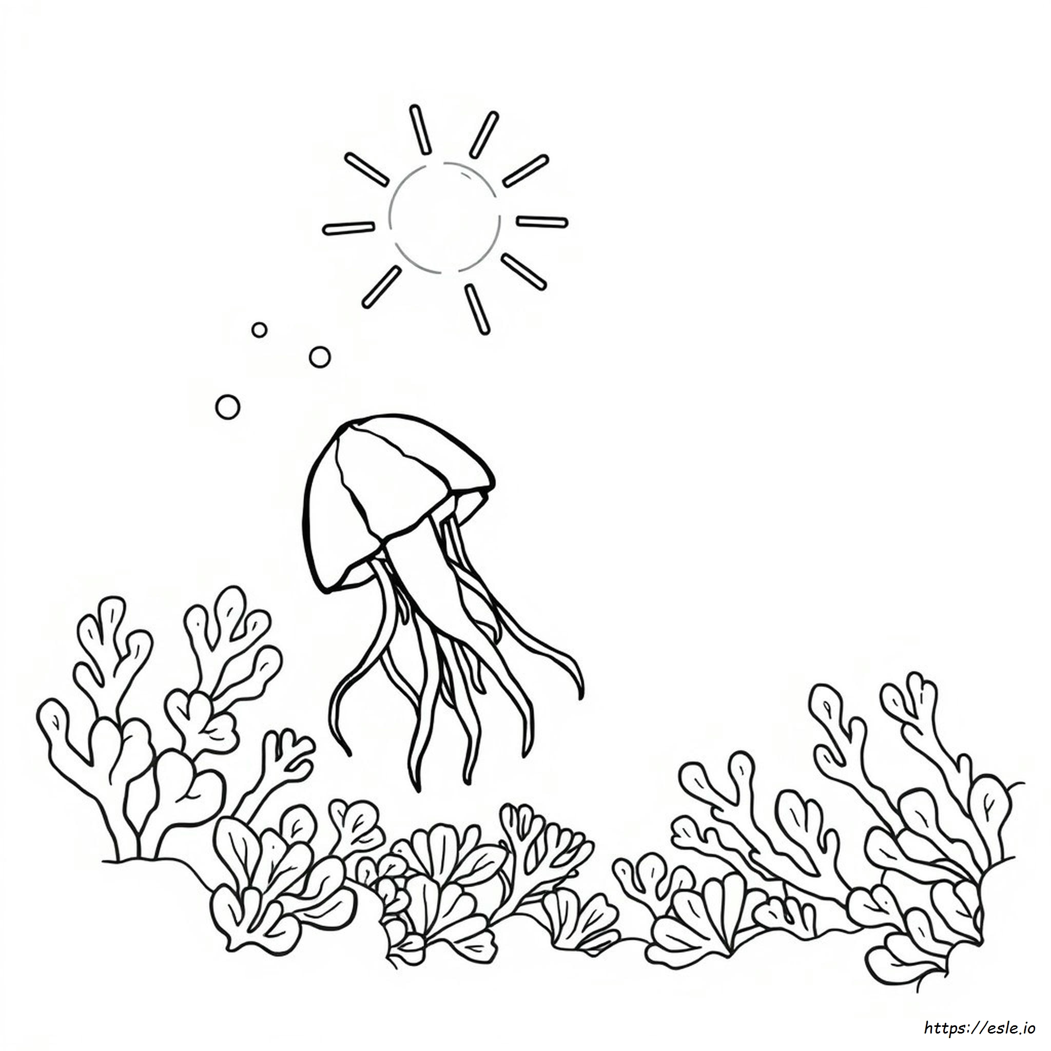 Jellyfish Coloring Page - Free Printable