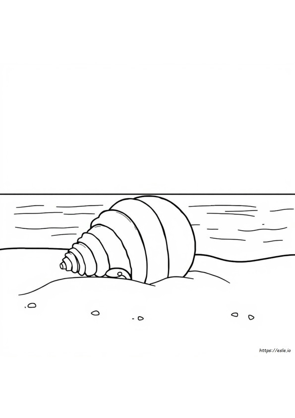 Ideias Para Colorir Conchas Do Mar
