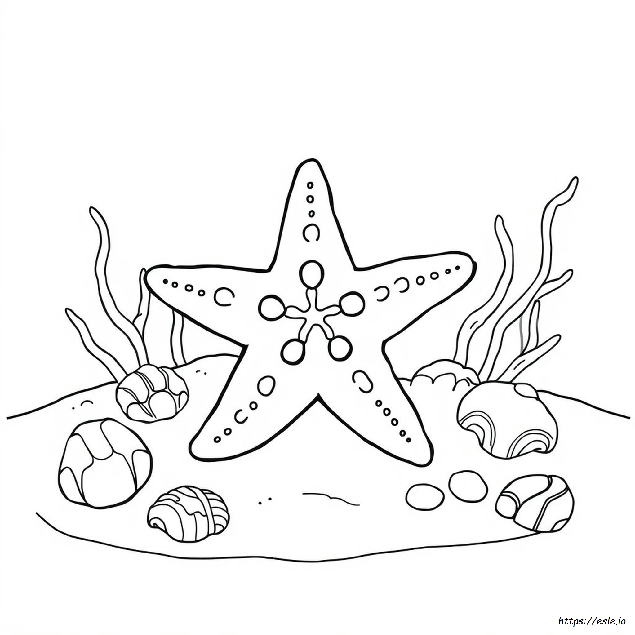Stella Marina Da Colorare - Disegno Gratis