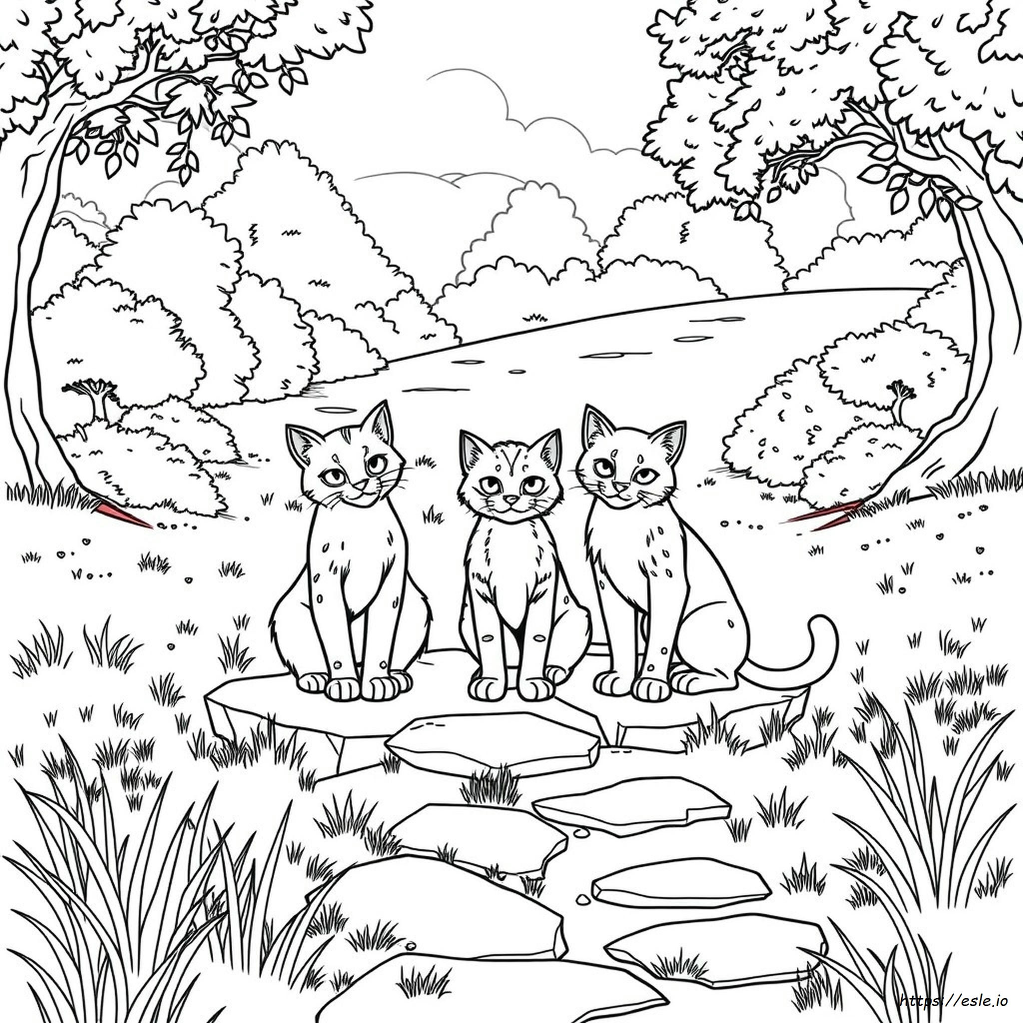 Coloring Pages Of Warrior Cats