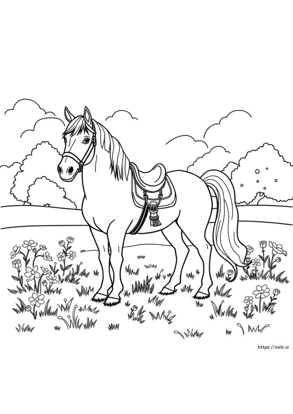 Fancy Horse Coloring Pages