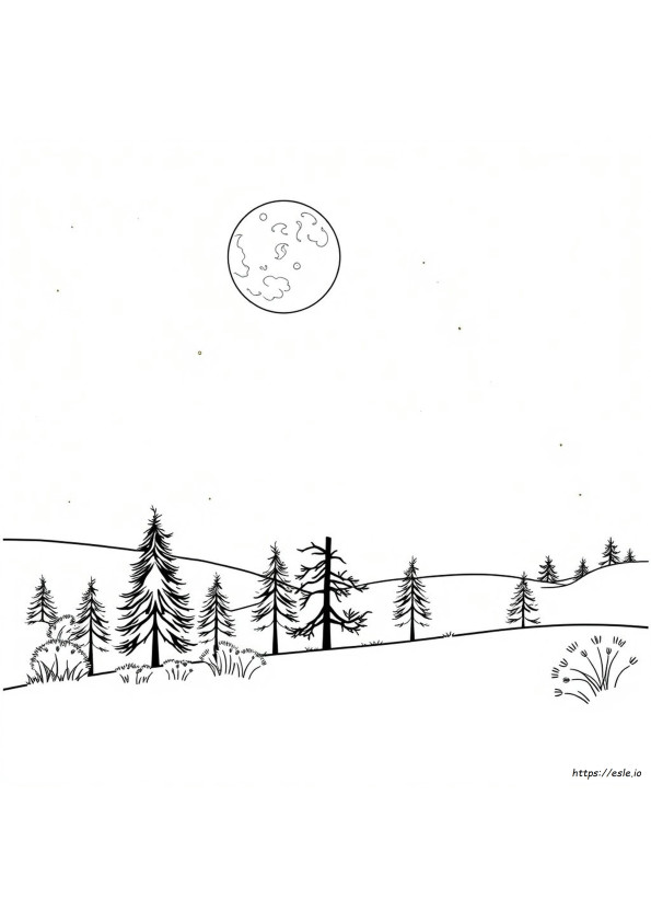 Moonlight Use Of Color