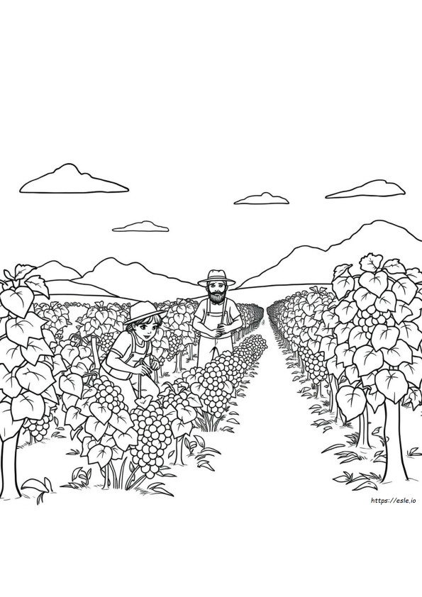 Parable Of The Workers In The Vineyard Coloring Pages