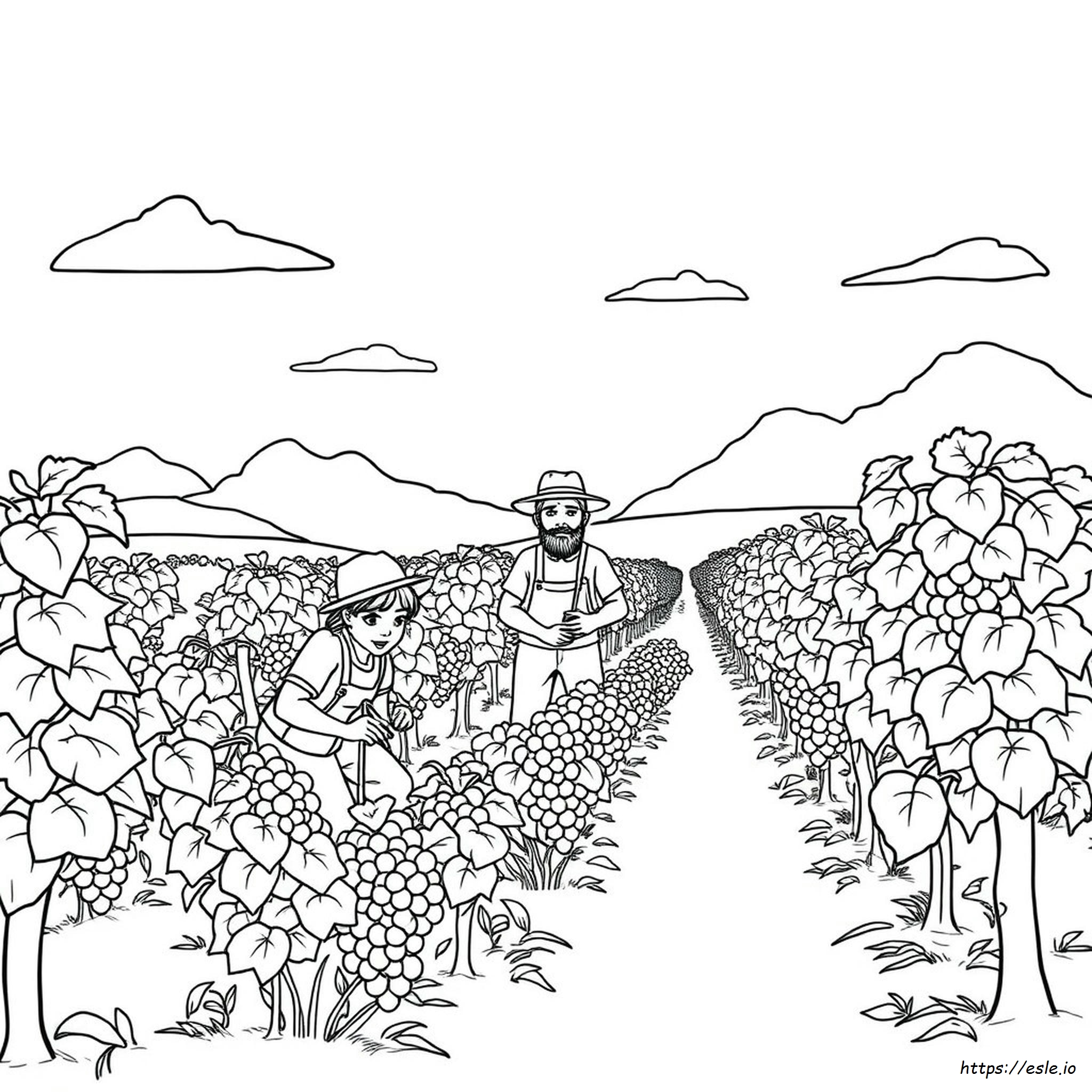 Parable Of The Workers In The Vineyard Coloring Pages