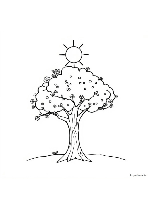 4 Seasons Coloring