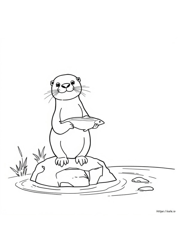 Nutria Realista Para Colorear