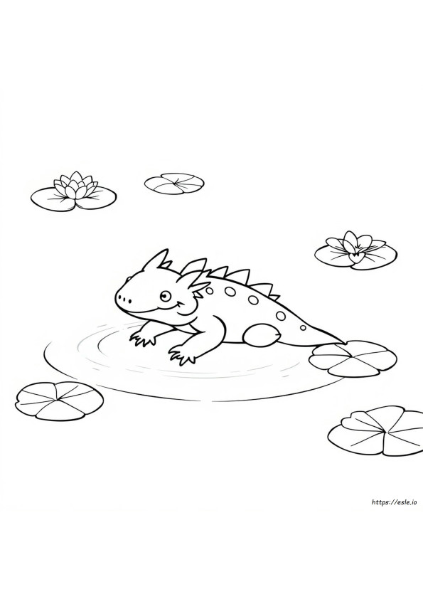 Axolotl Da Colorare E Stampare