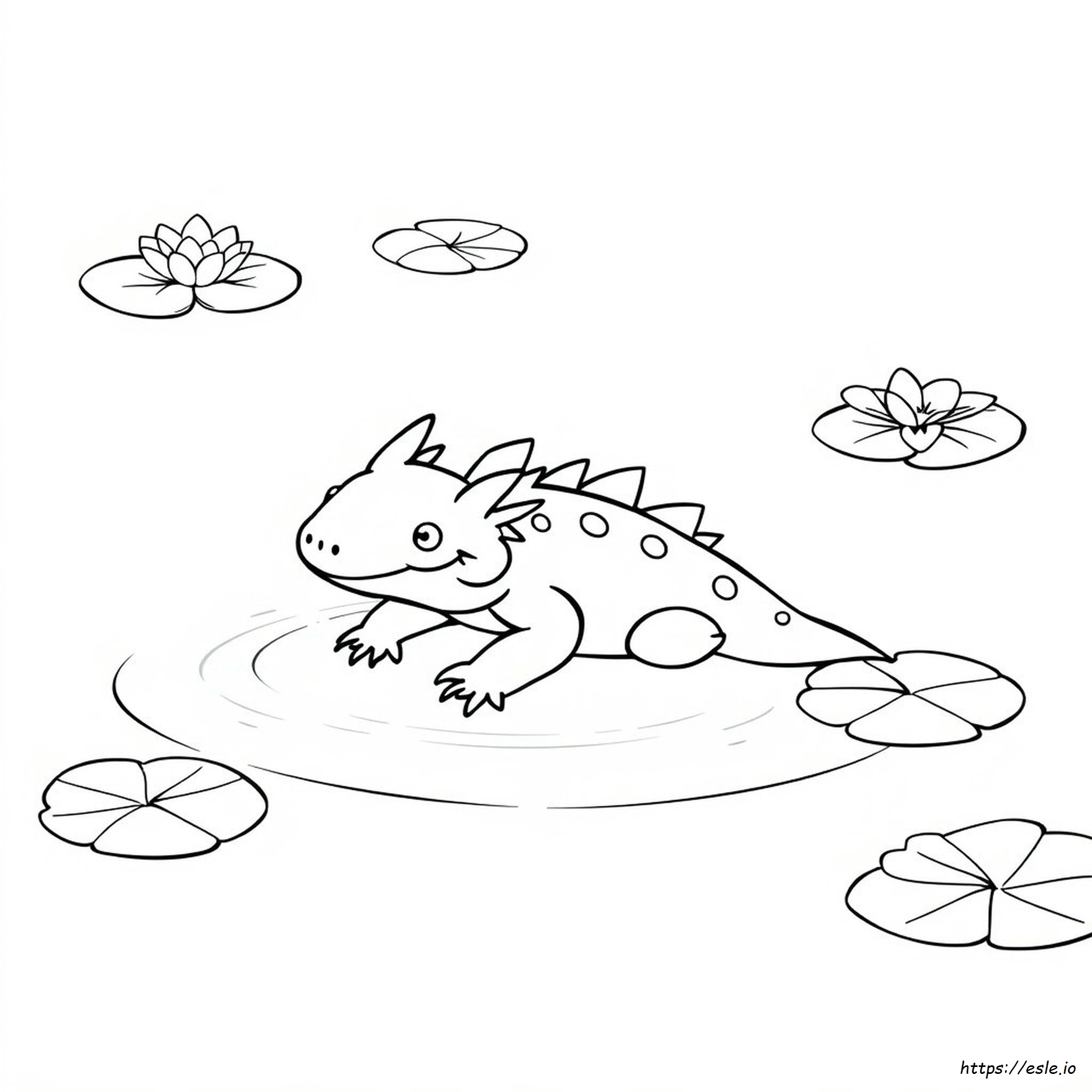 Axolotl Da Colorare E Stampare