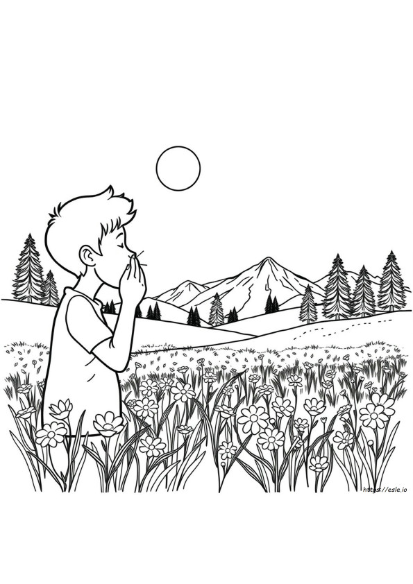 Allergies In Colorado