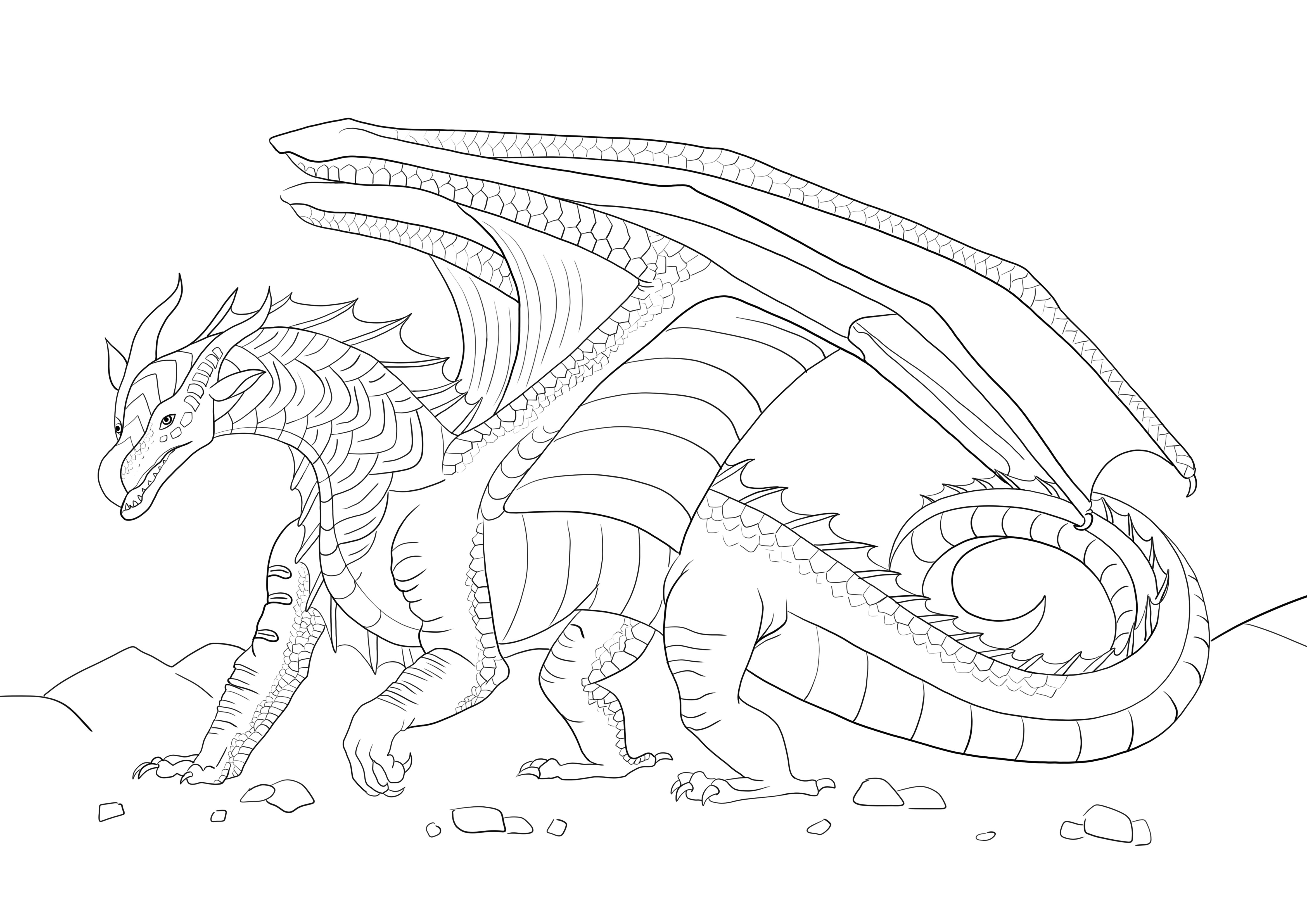 Seawing Dragon from Wings of fire simple to color and free to print image