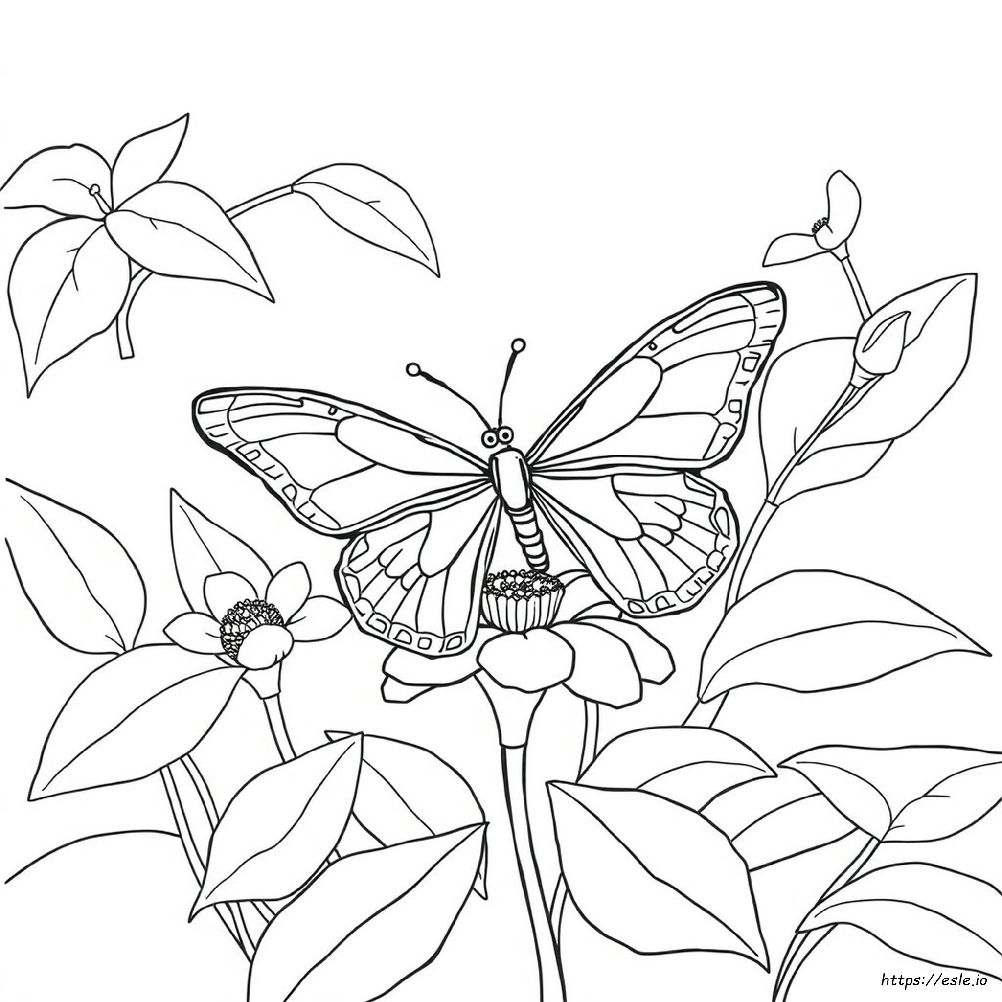 Realistic Butterfly Coloring Page - Printable