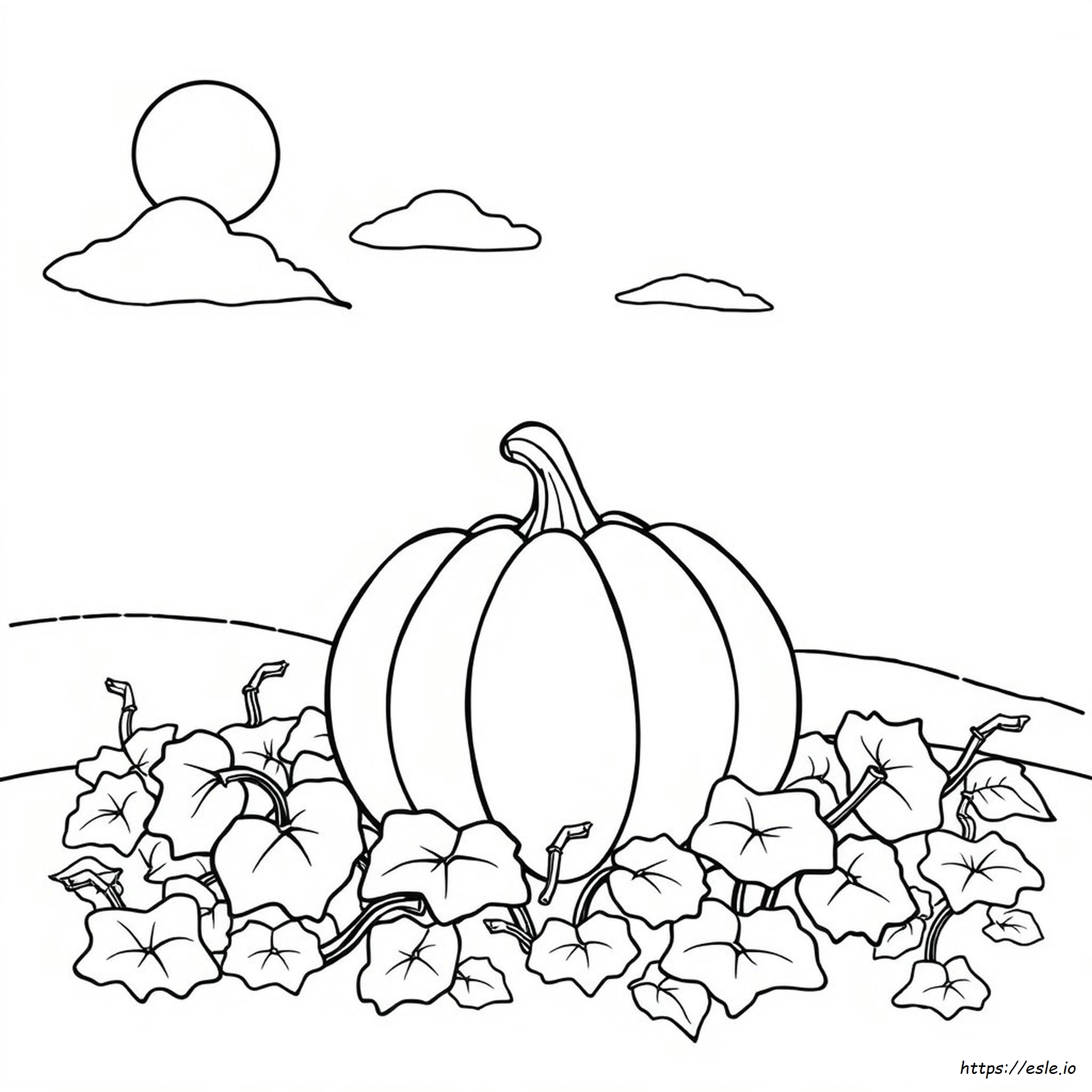 Dltk Pumpkin Coloring Pages