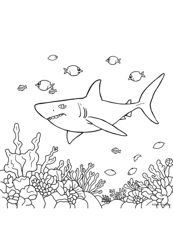 Shark Colouring Images