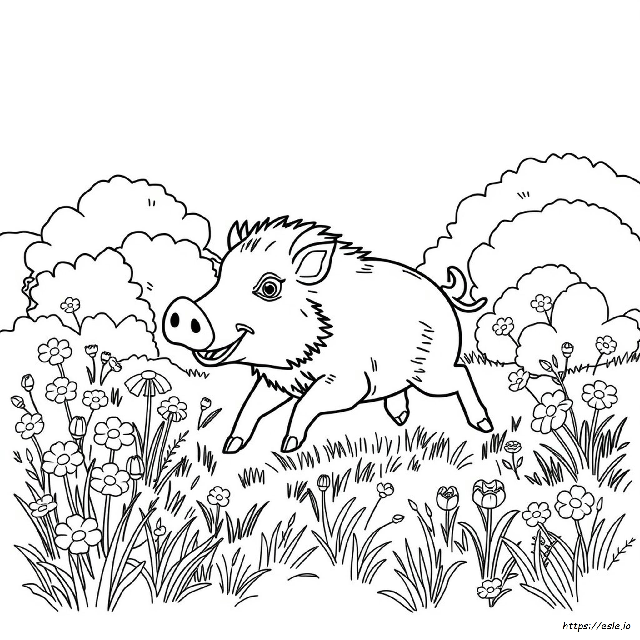 Wild Hog Coloring Page - Free Printable
