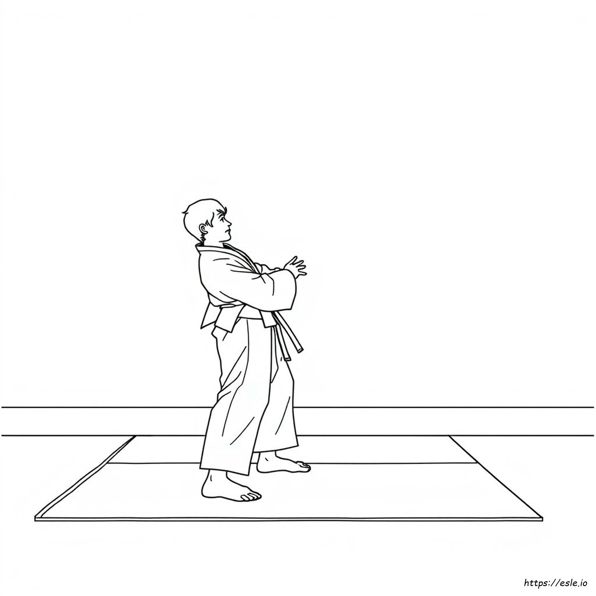Judo Colouring Pages