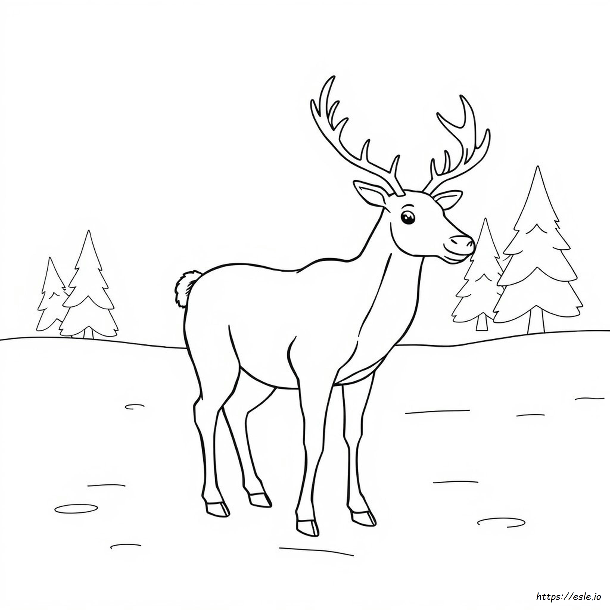 Renna Da Colorare - Disegno Gratuito