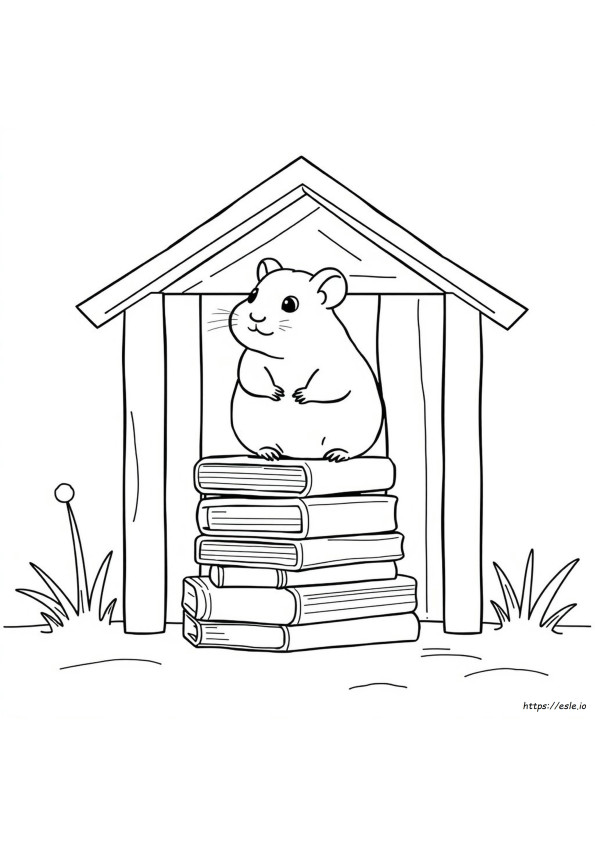 Hamster Colouring Pages