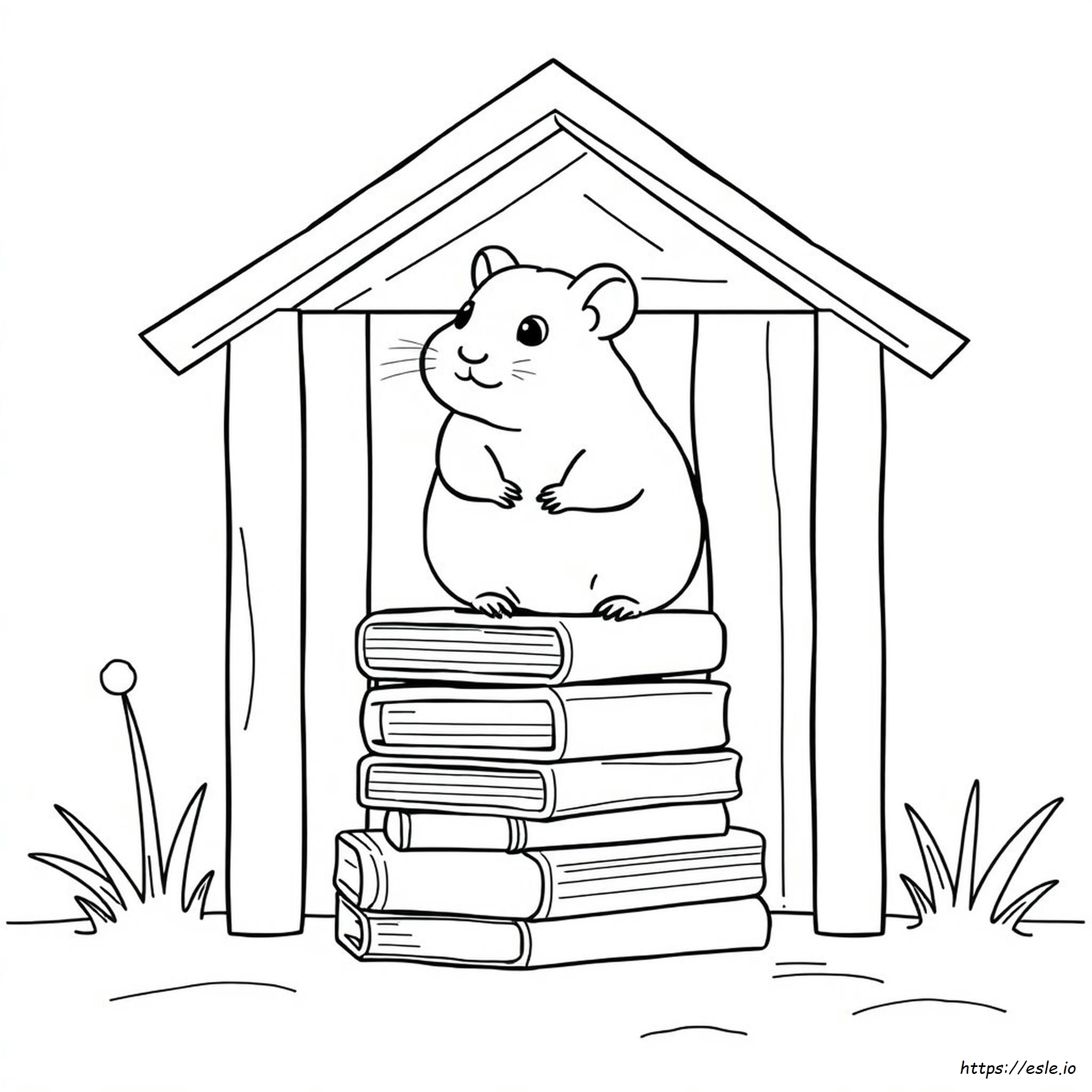 Free Printable Hamster Coloring Page