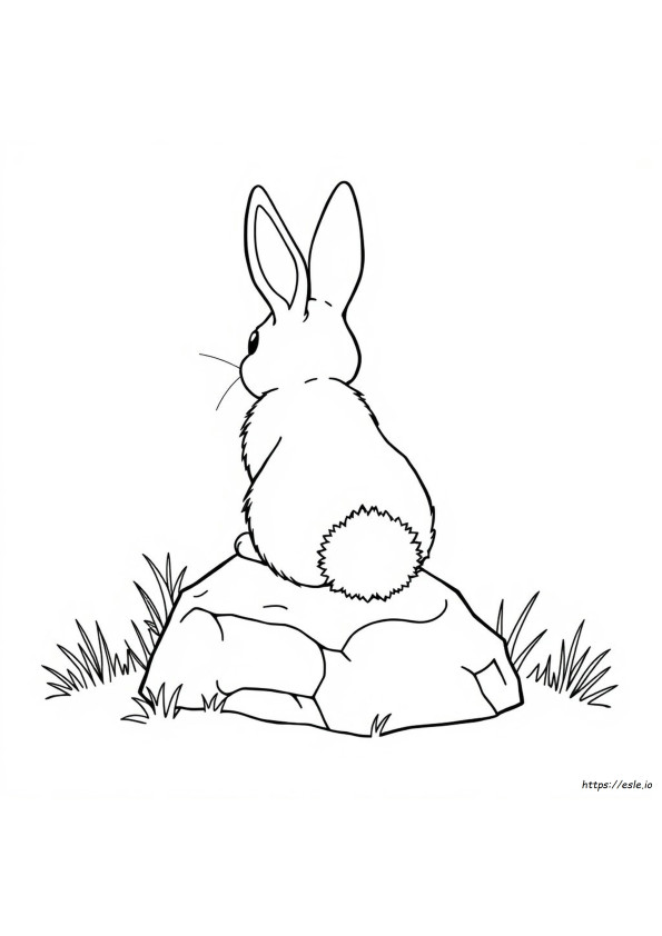 Bunny Butt Coloring Page