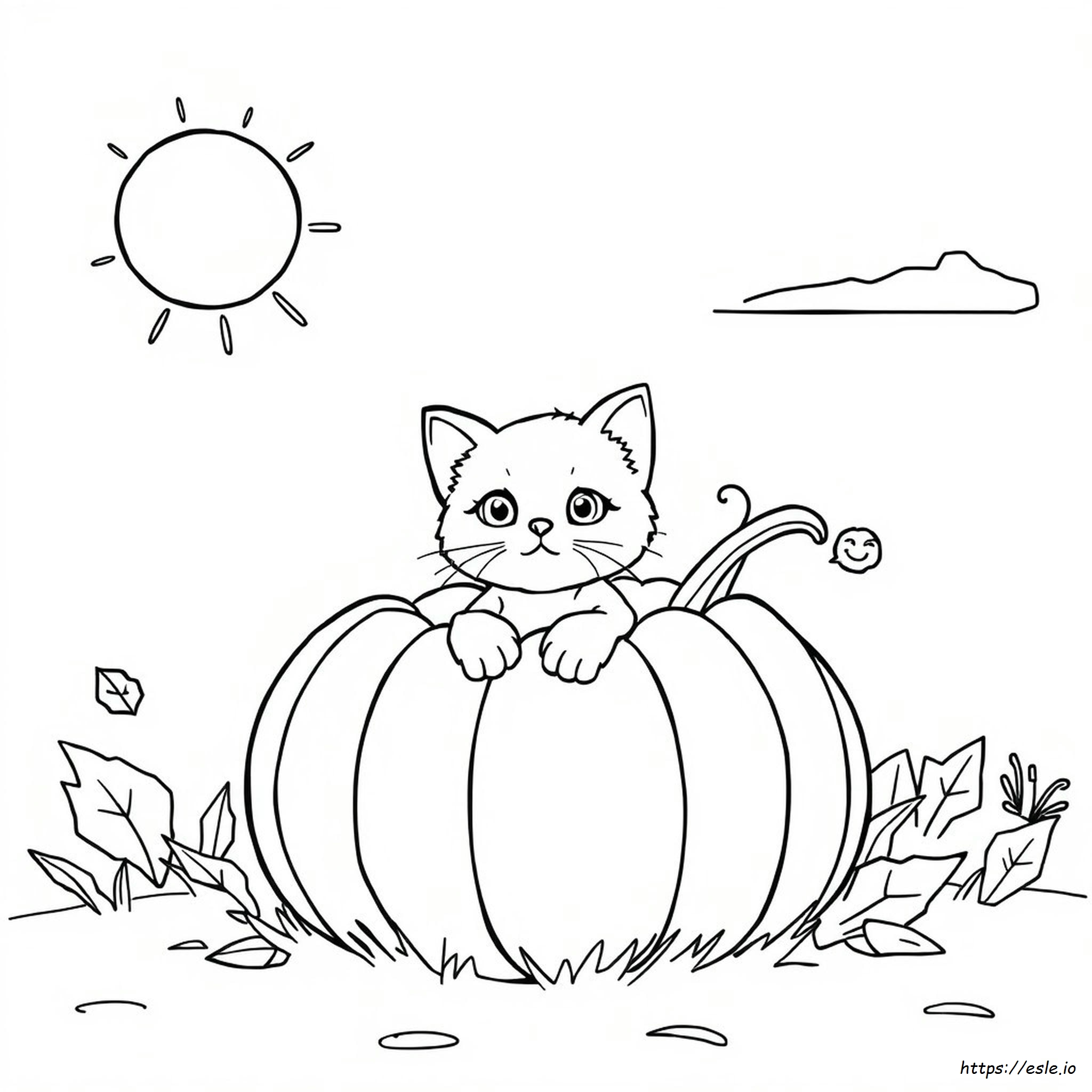 Kitty In A Pumpkin Coloring Page