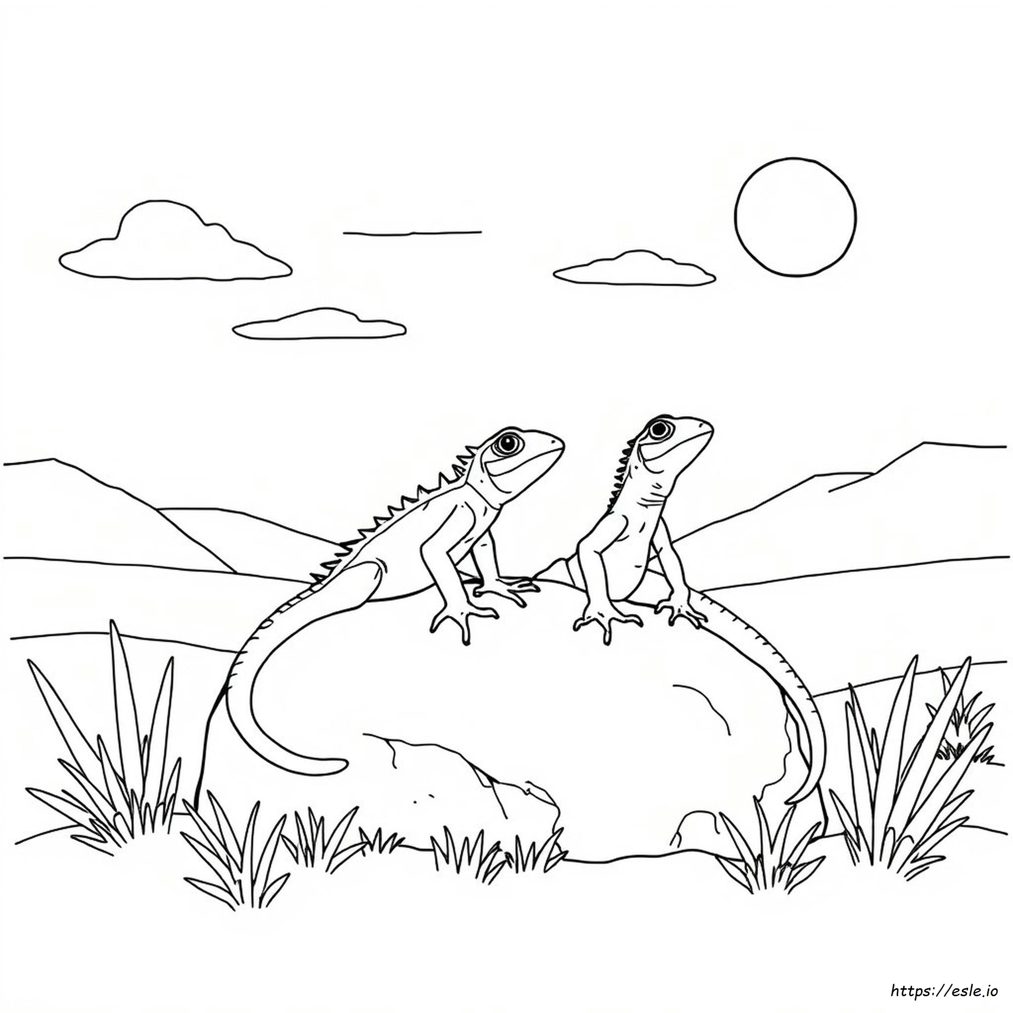 Coloring Pictures Of Lizards - Free Printable Coloring Page