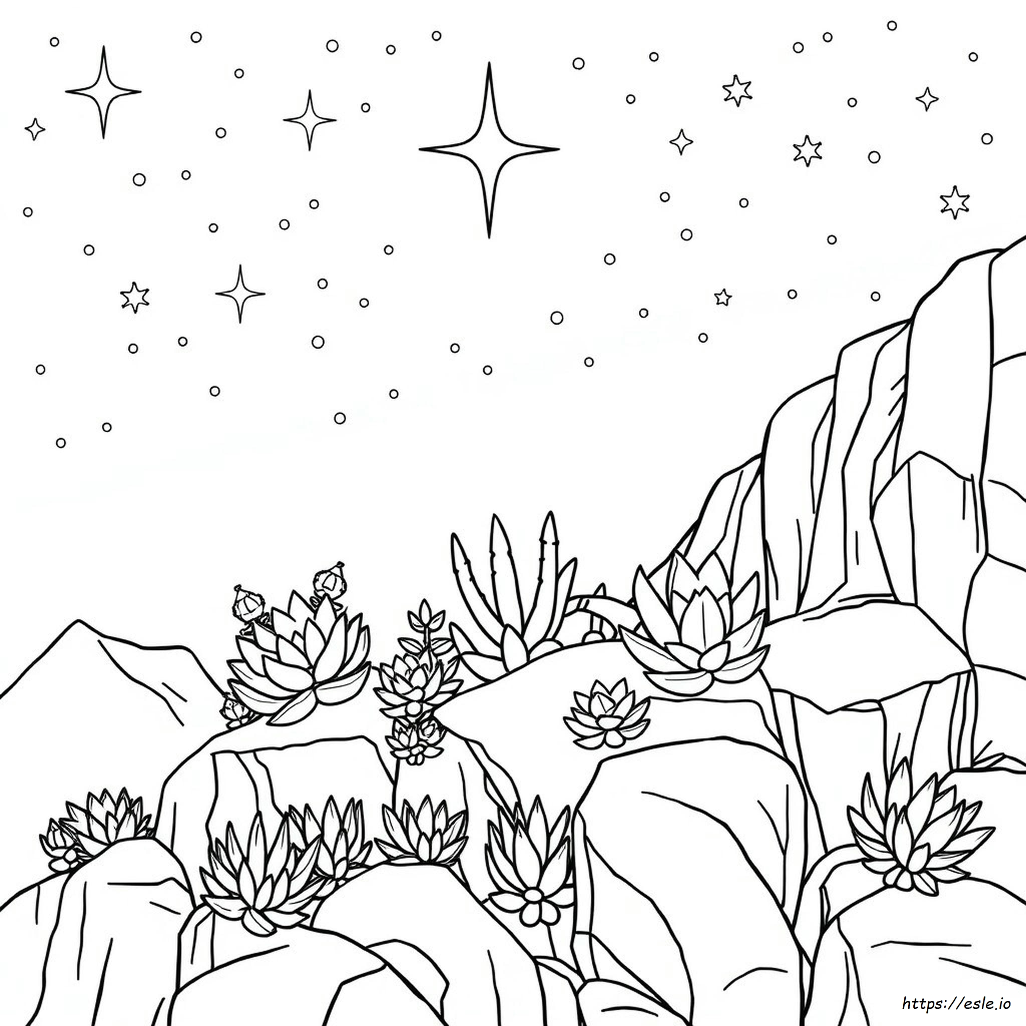 Succulent Coloring Pages For Adults