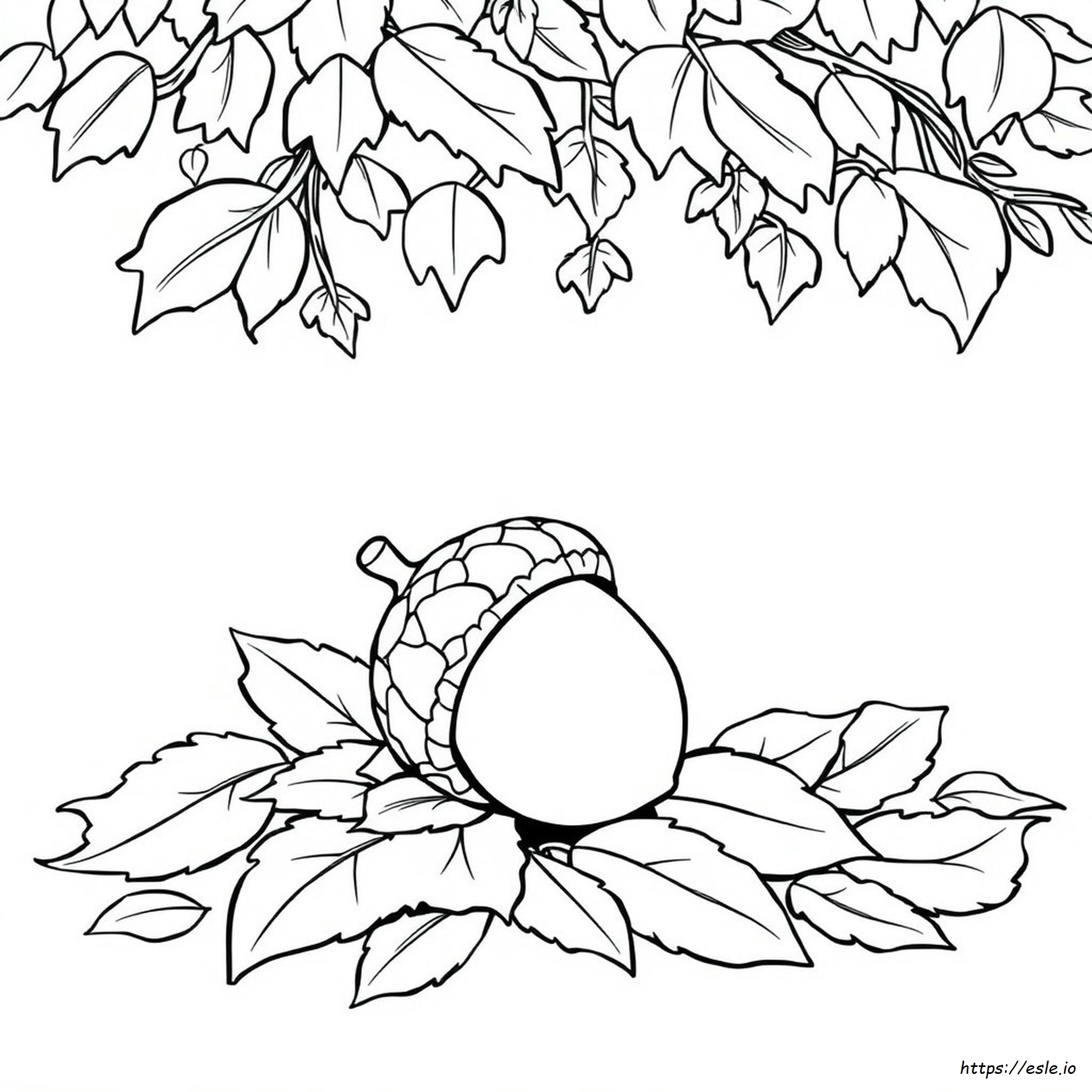 Acorn Coloring Page Printable