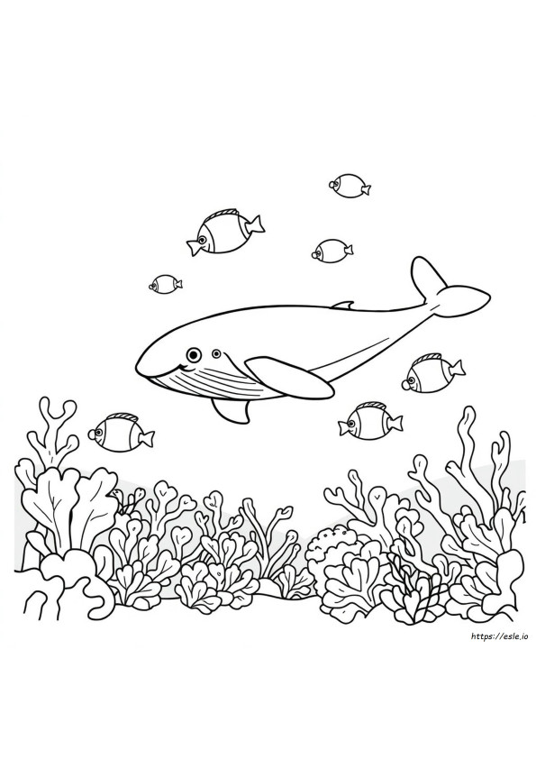 Coloring Pages Of The Sea